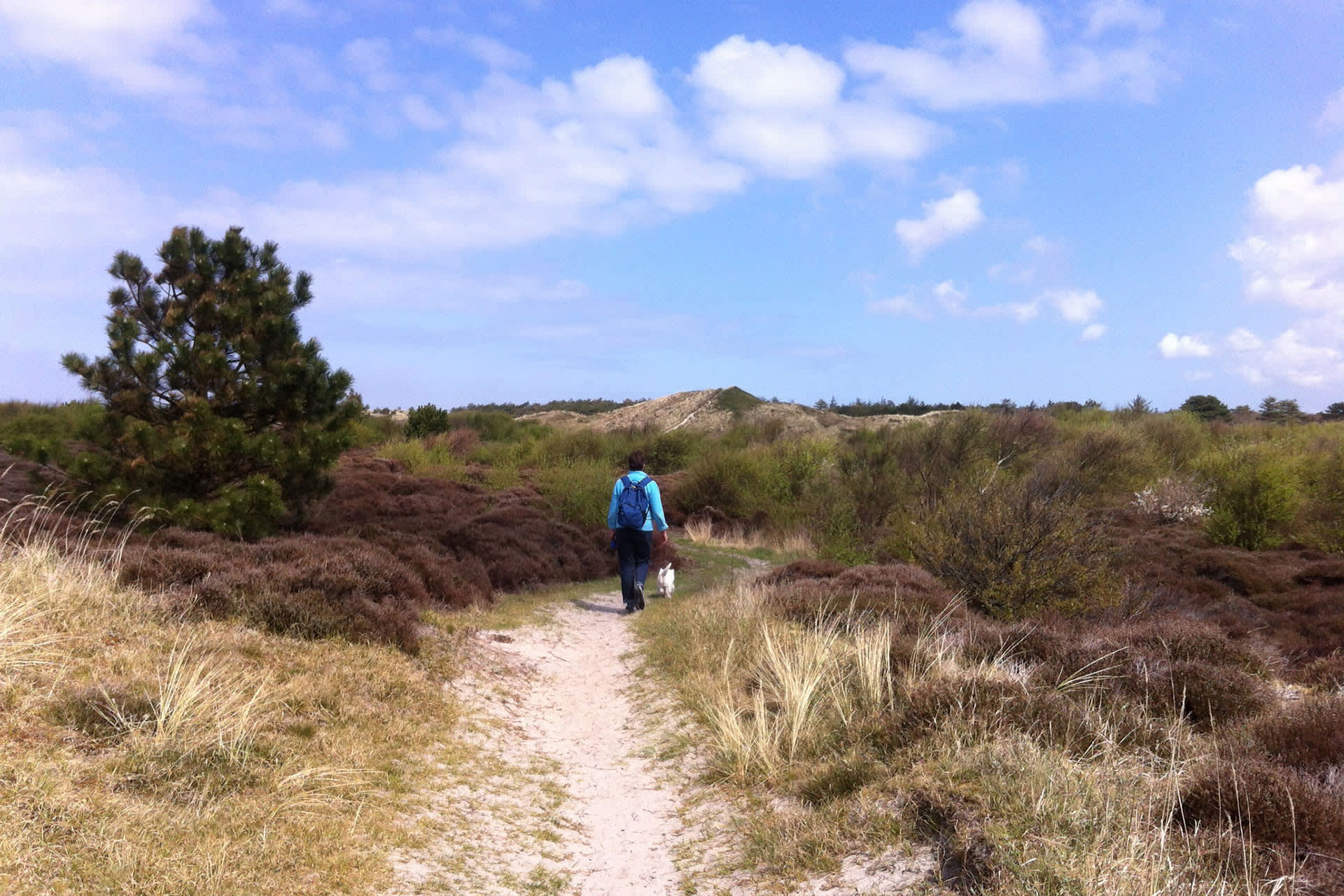 Wandelen in de duinen