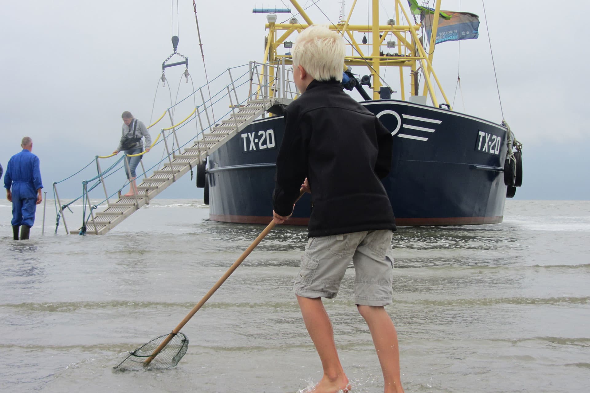 Sandbank, Wattenexkursion