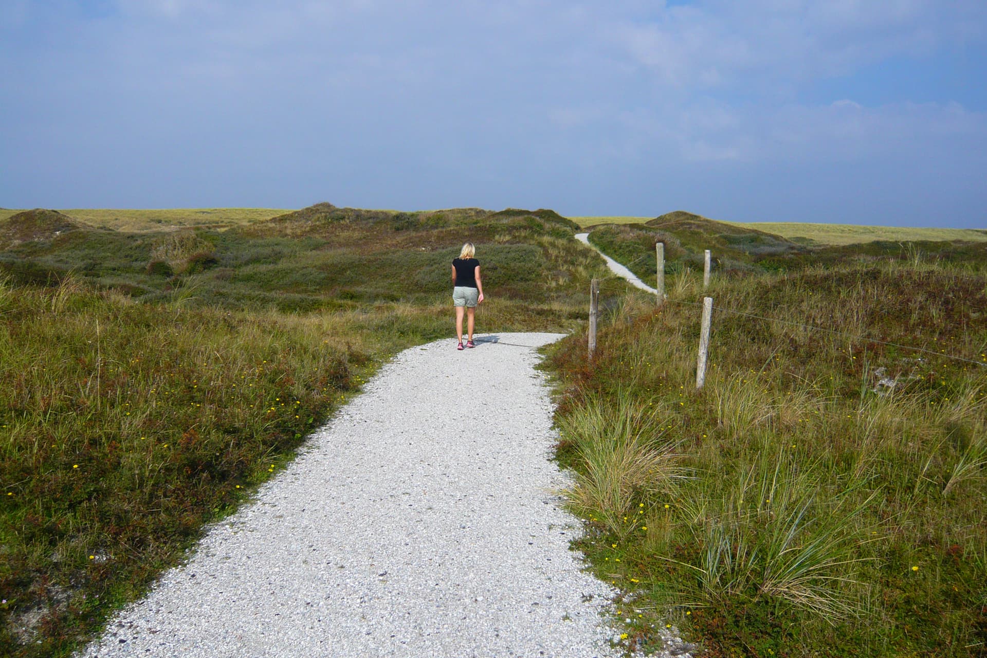 Wandelen in de duinen