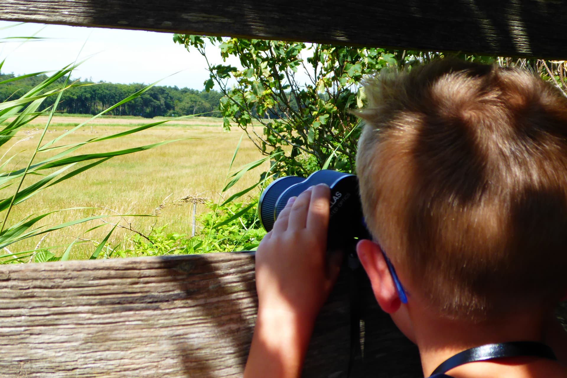 Kind-Vogels-Kijken-De-Krim-Texel