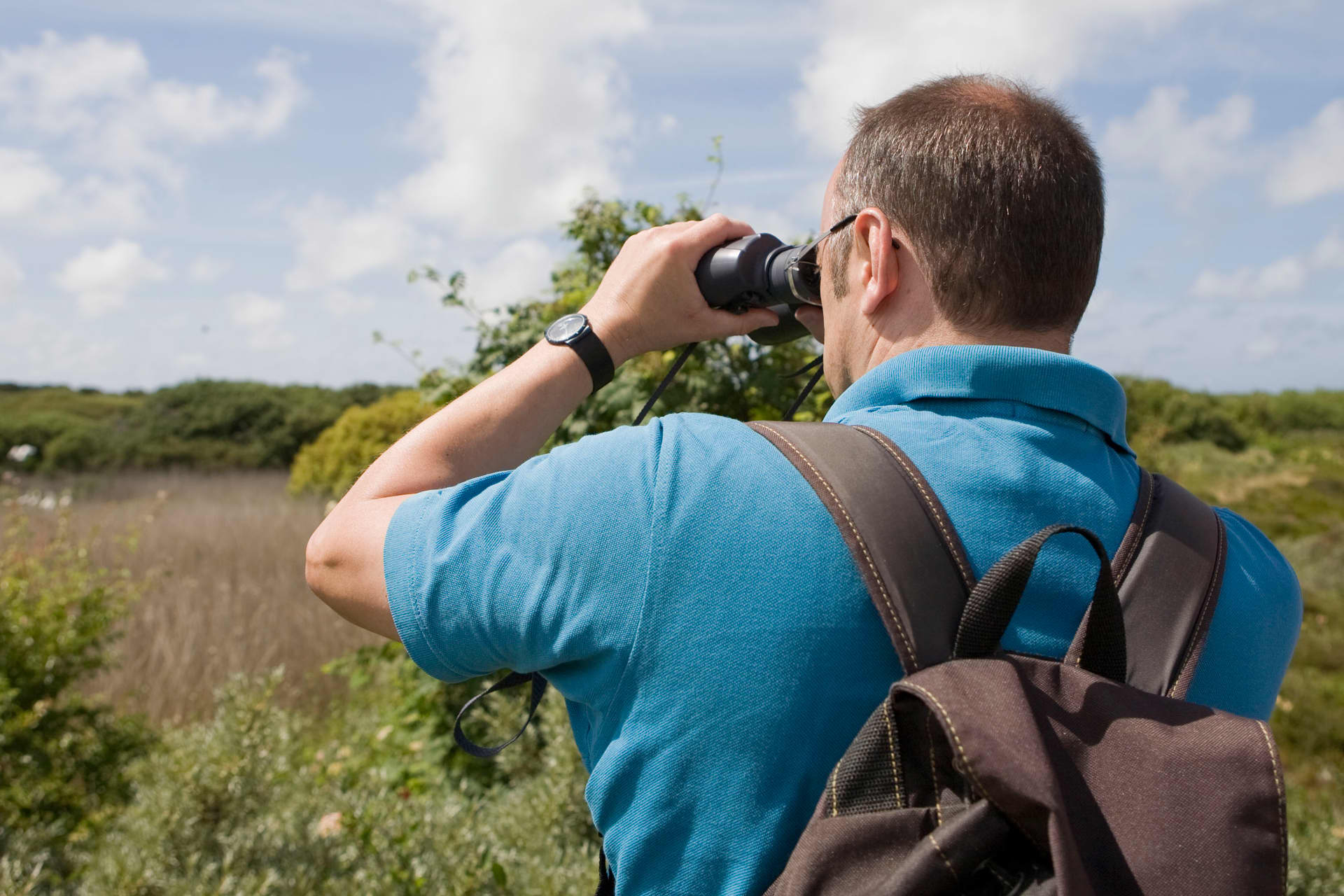 Bird recognition excursions 