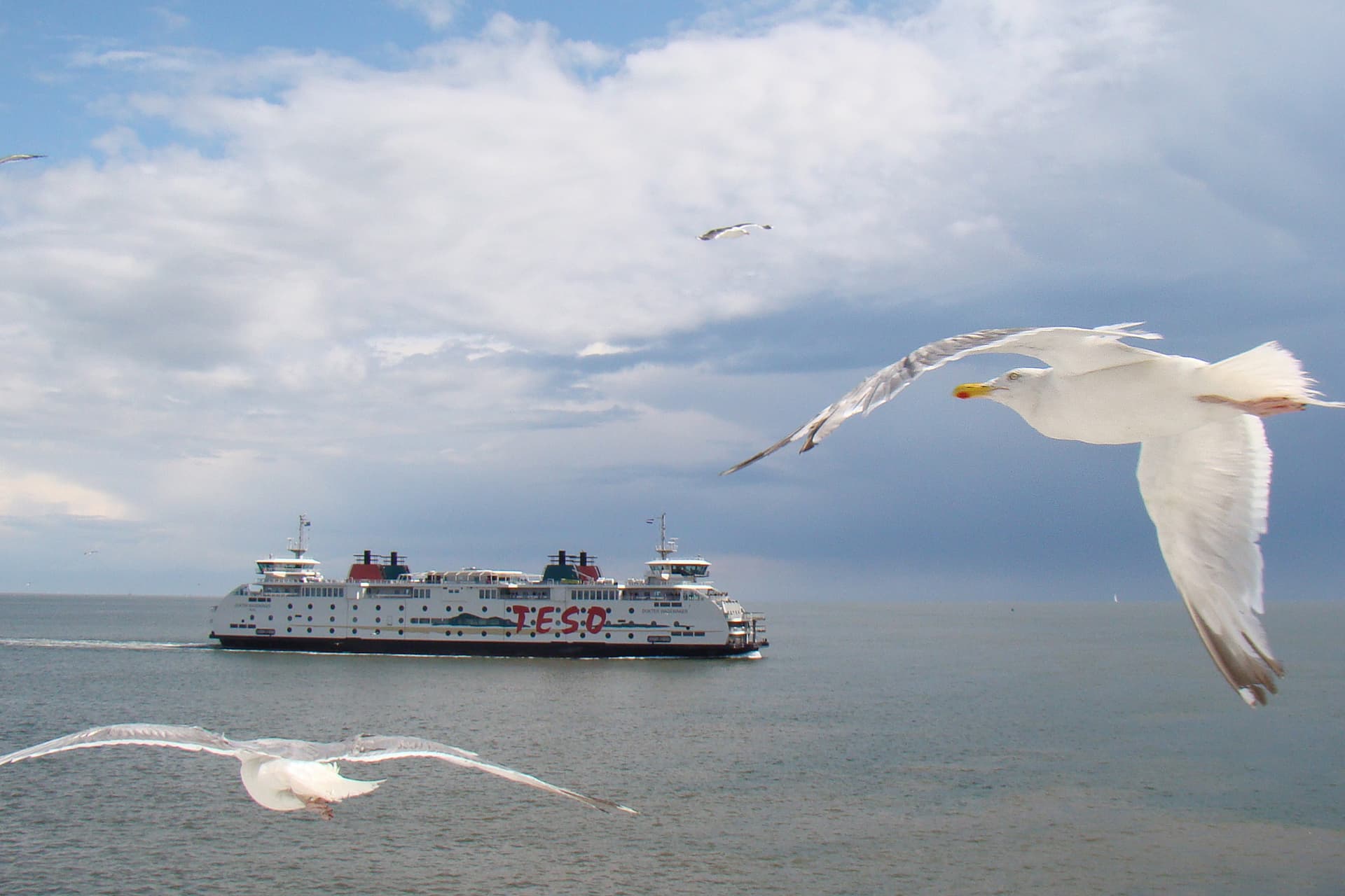 Fotoalbum Wochenende Texel