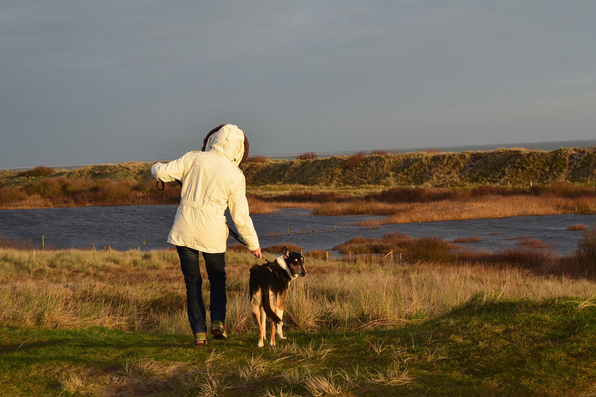 Wandelen