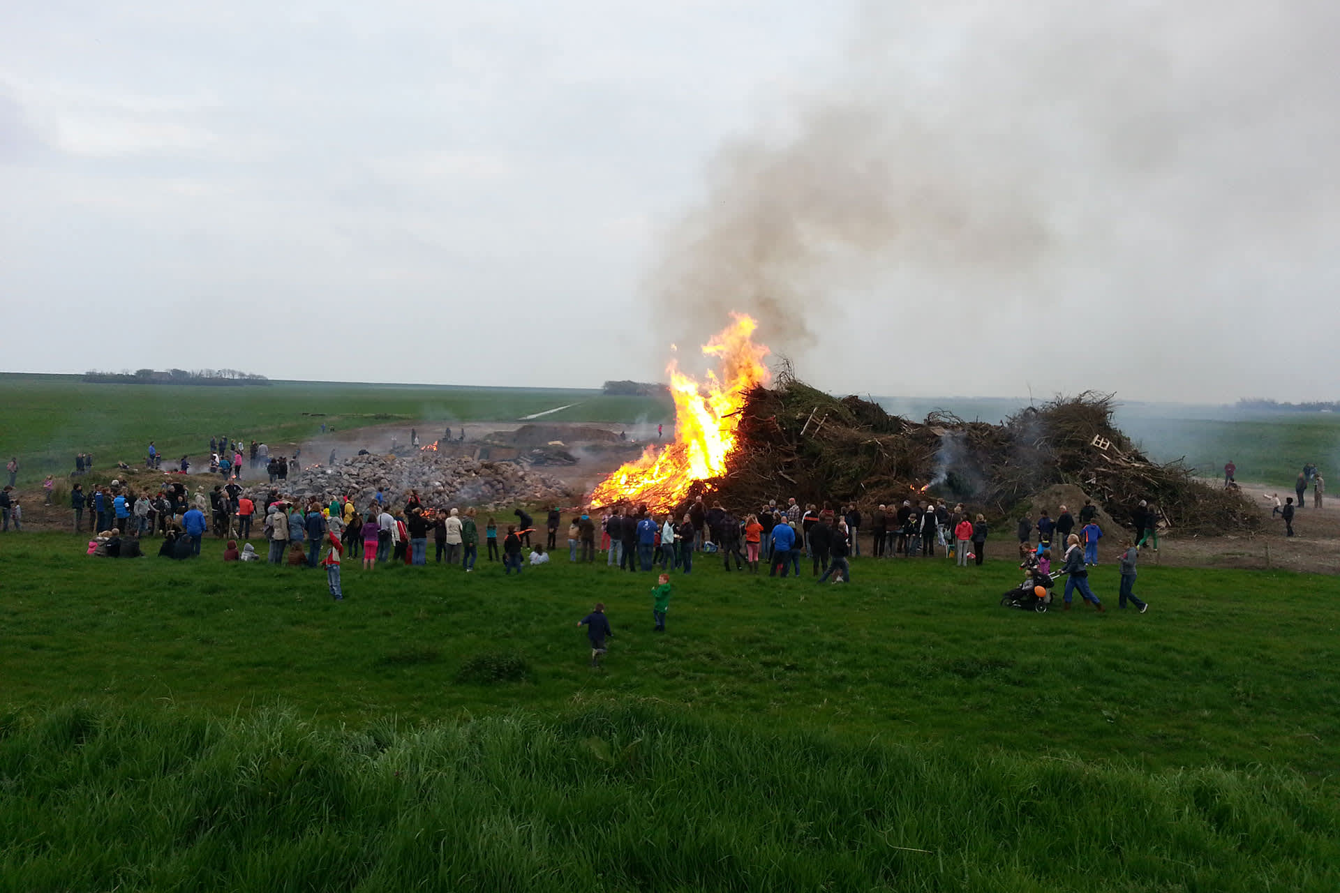 Meierblis, Texel