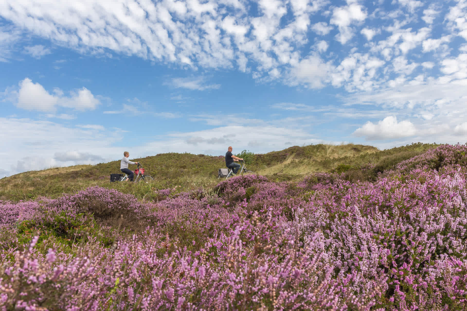 Fietsen in de duinen