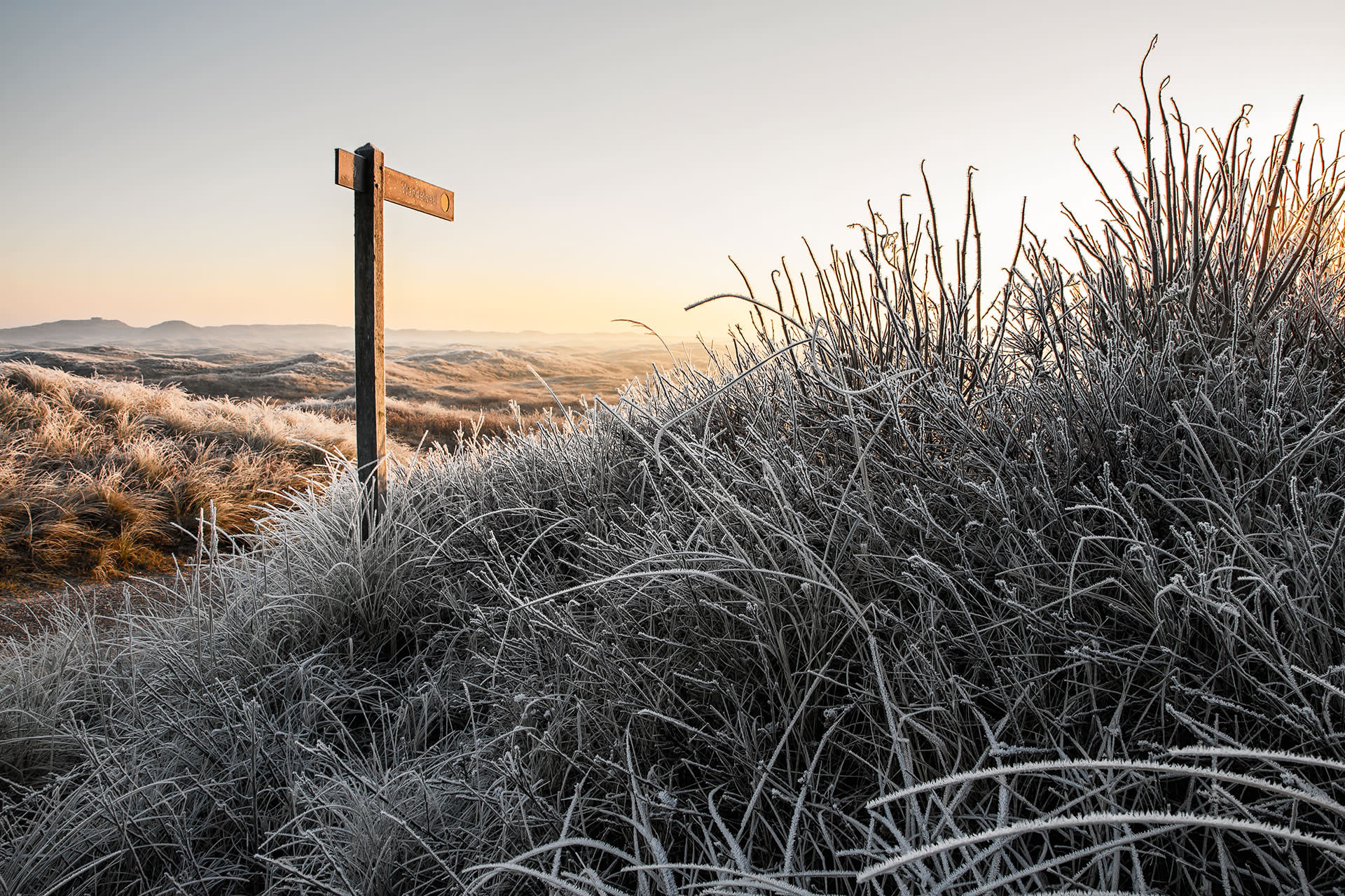 Dünen im Winter