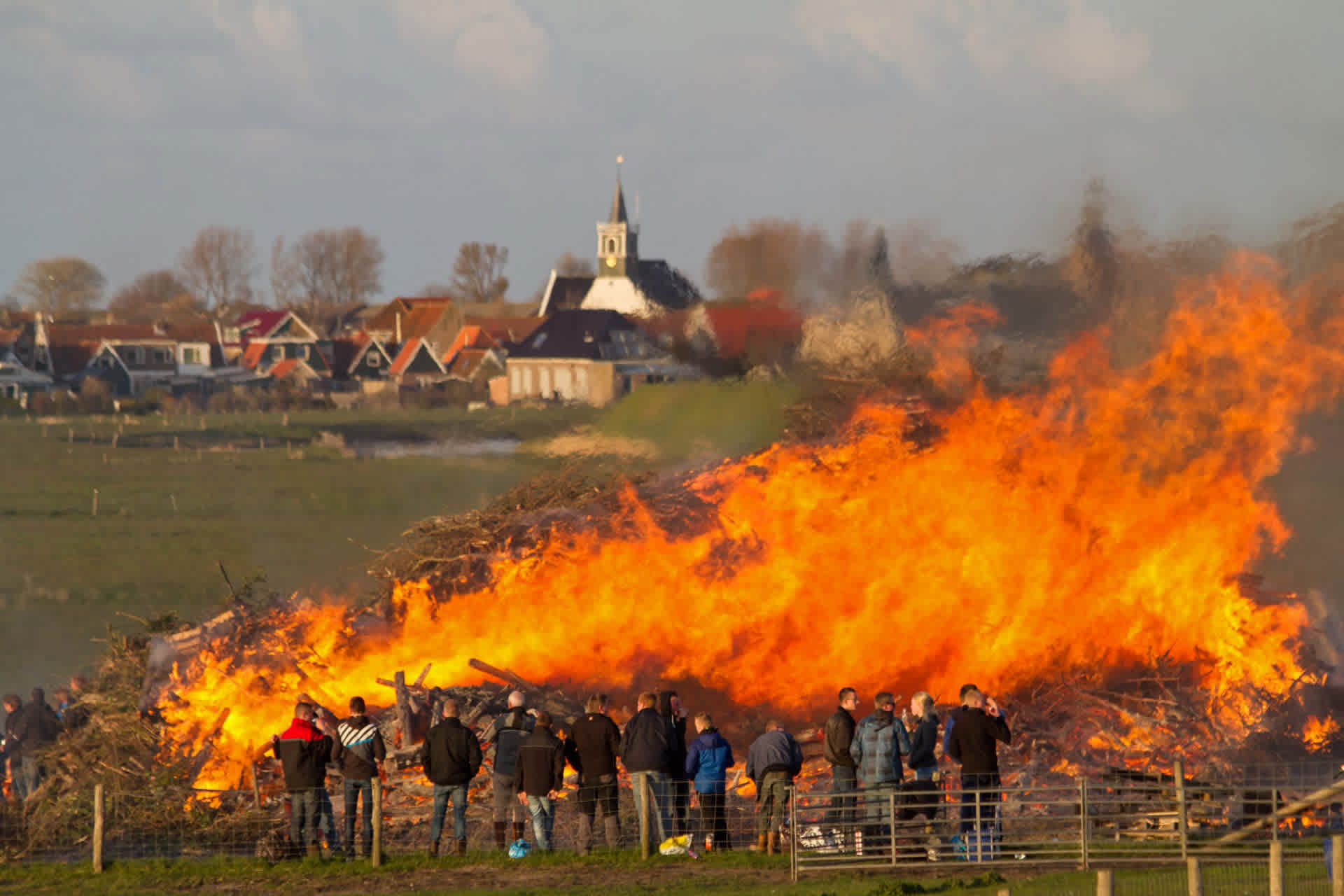 Meierblis, Texel