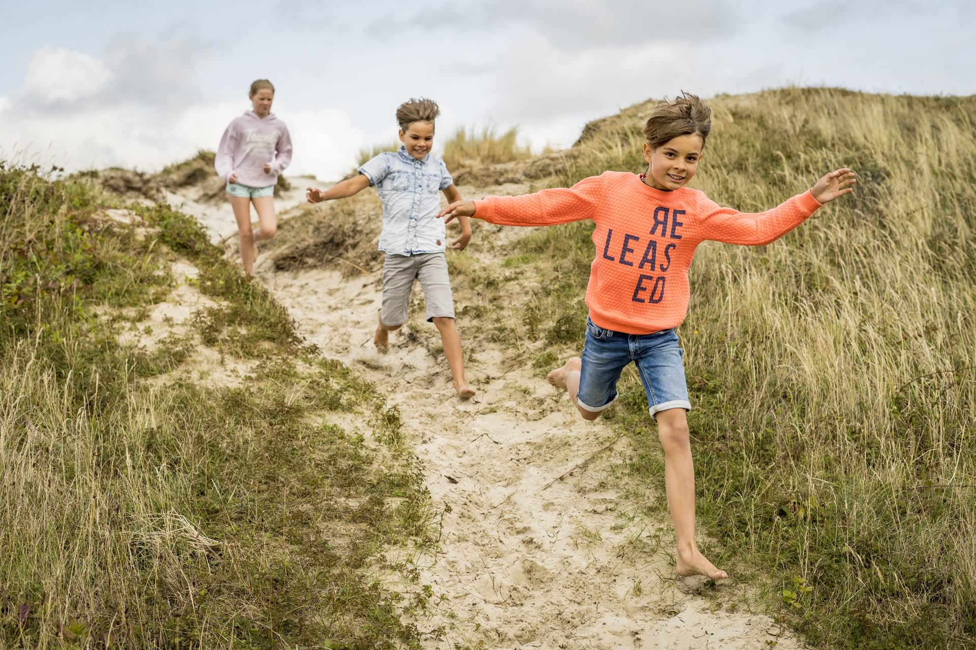 Dunes, Texel