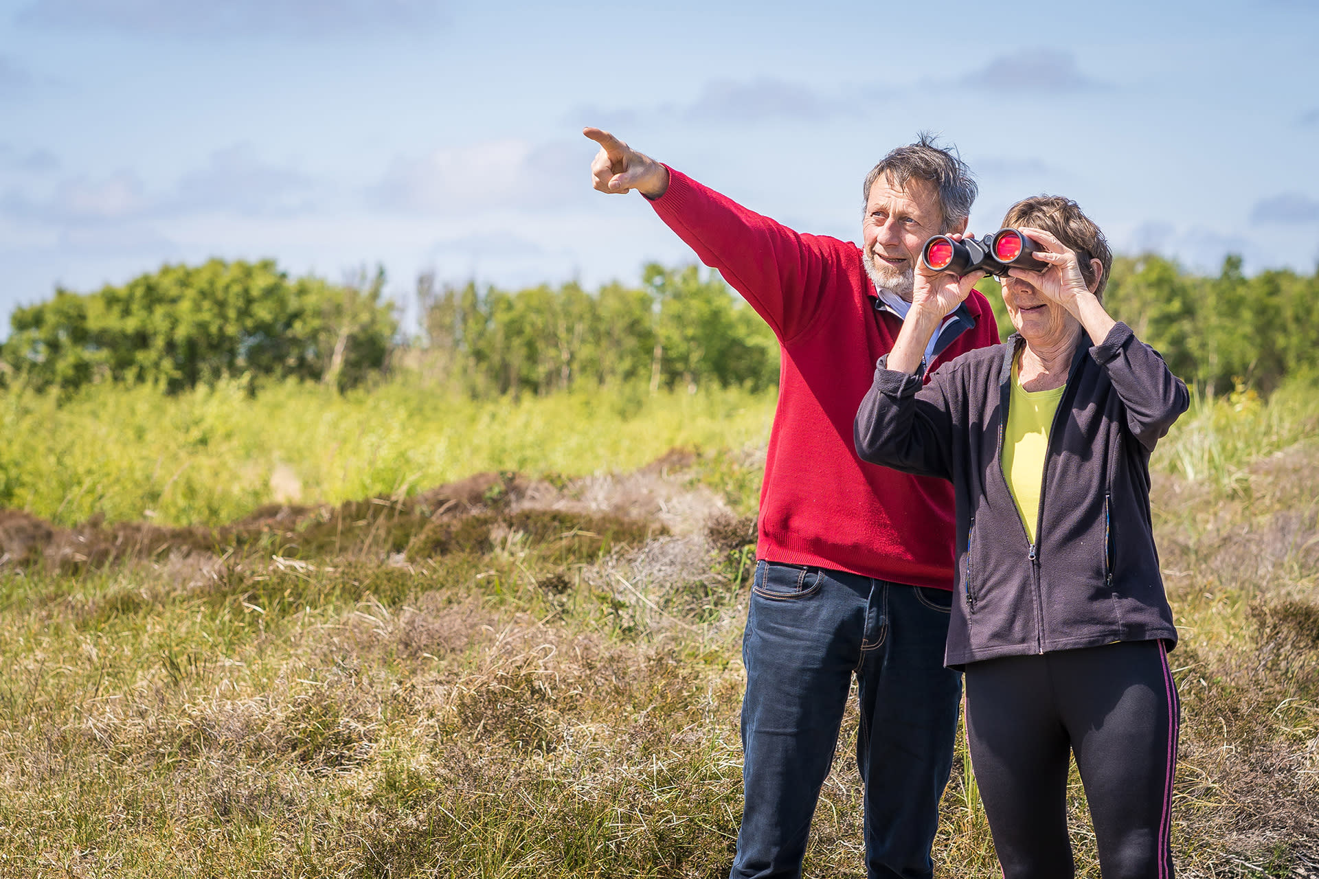 Vogelbeobachtung, Nationalpark Texeler Dünen