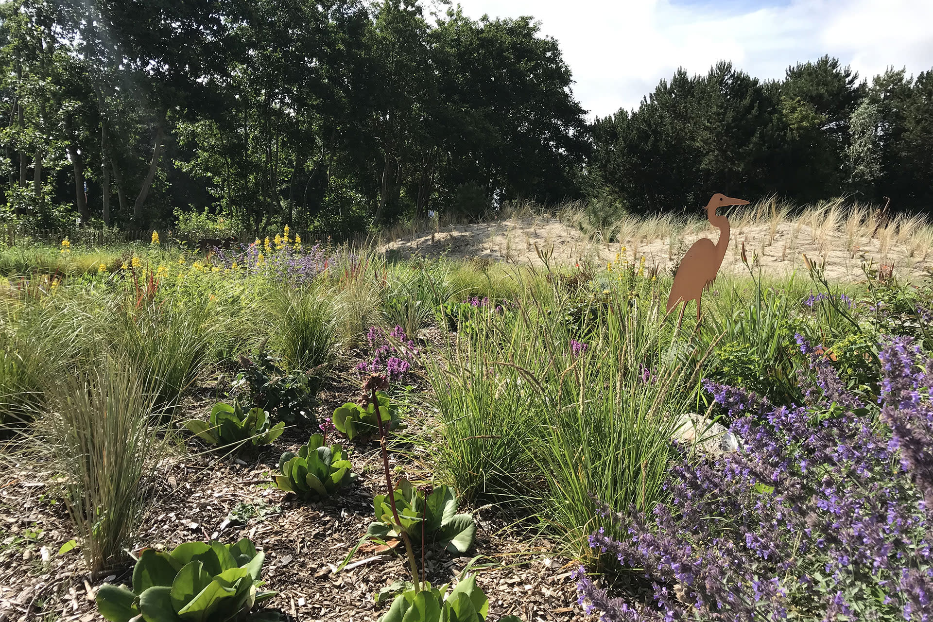 Tierpark De Krim Naturerlebnis 