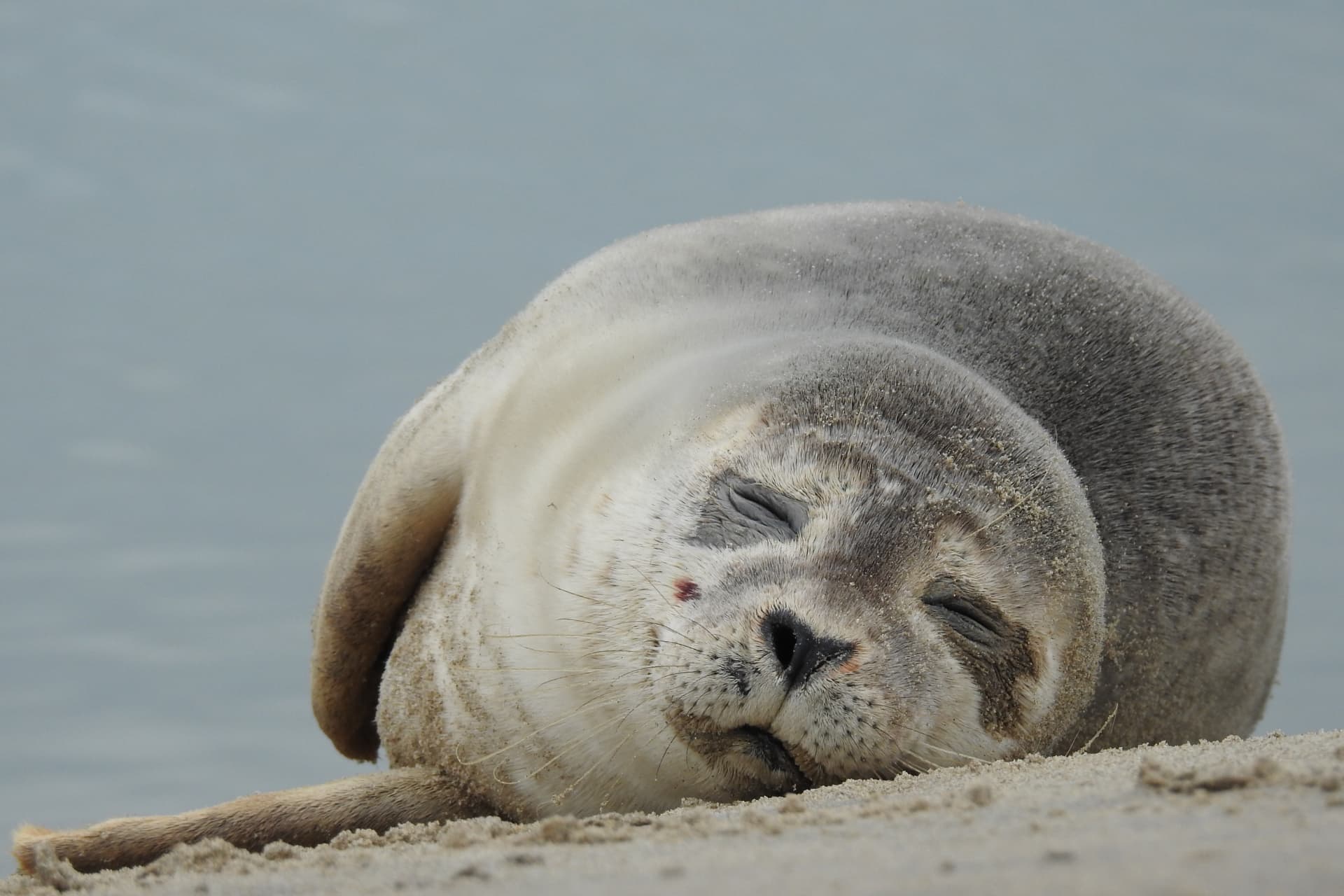 Fotoalbum November auf Texel