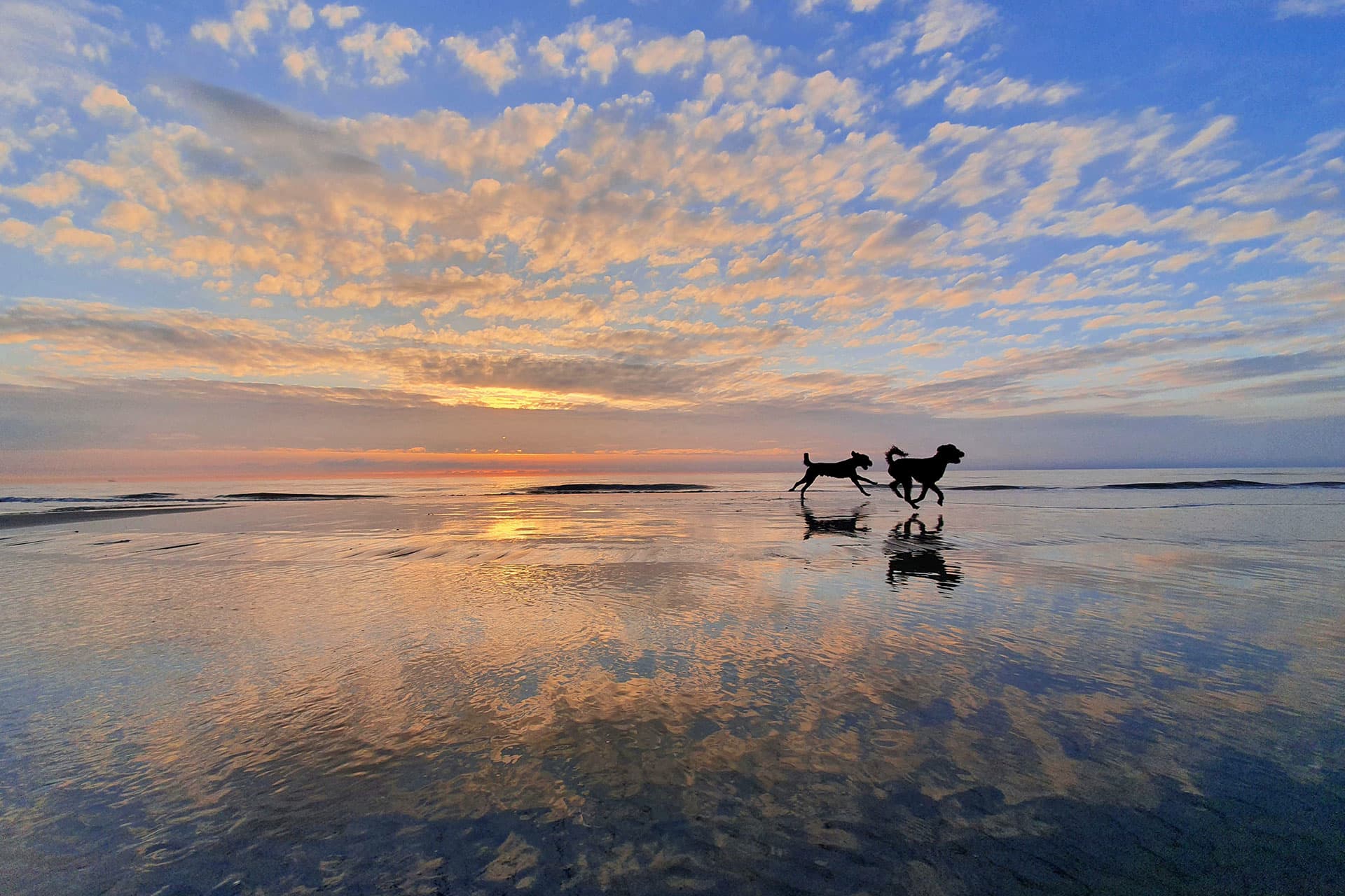 Rennen op het strand