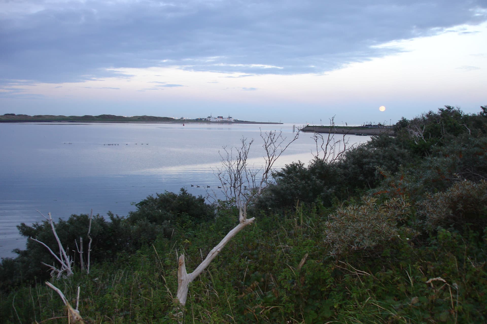 Mokbaai, Texel