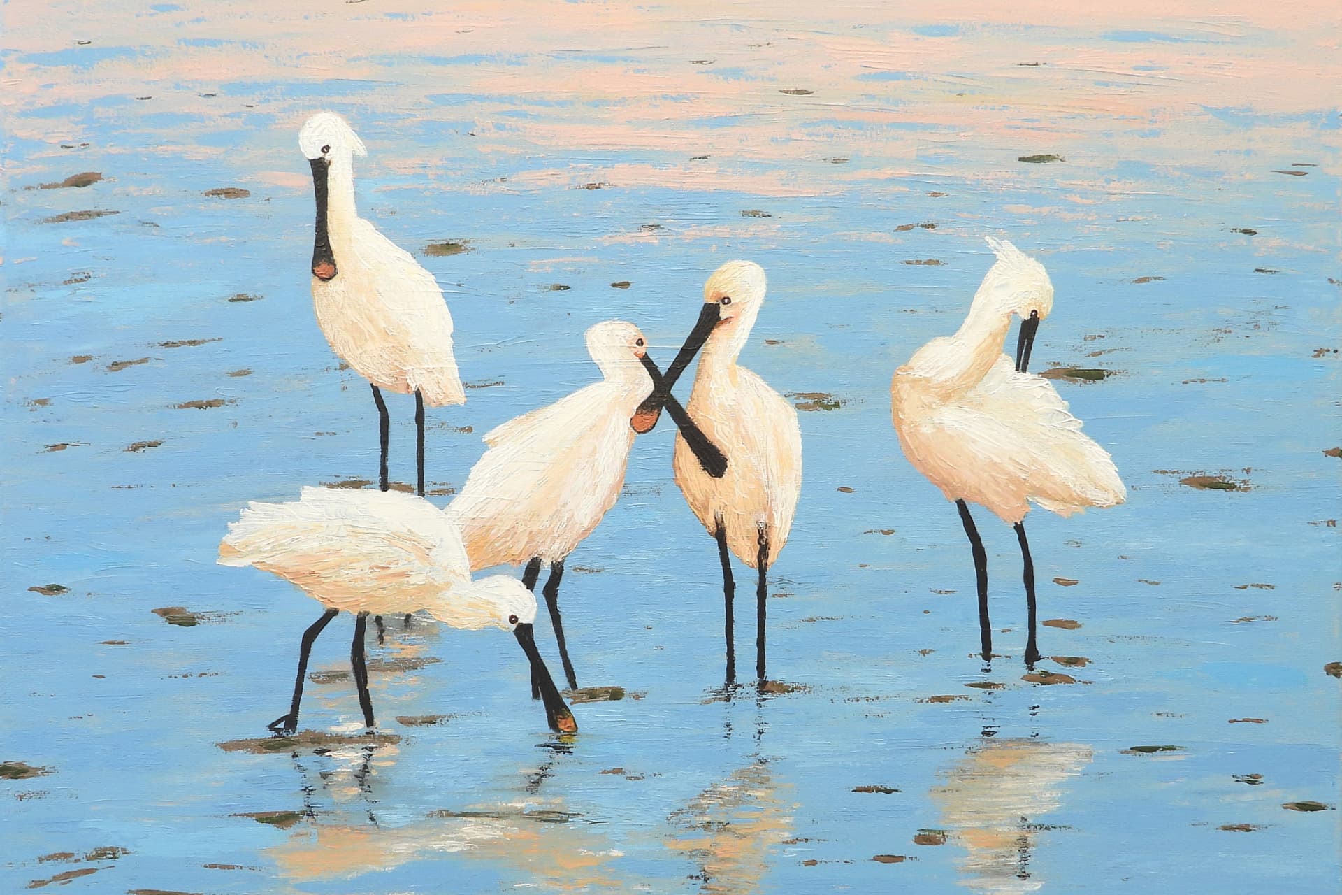 Group of spoonbills