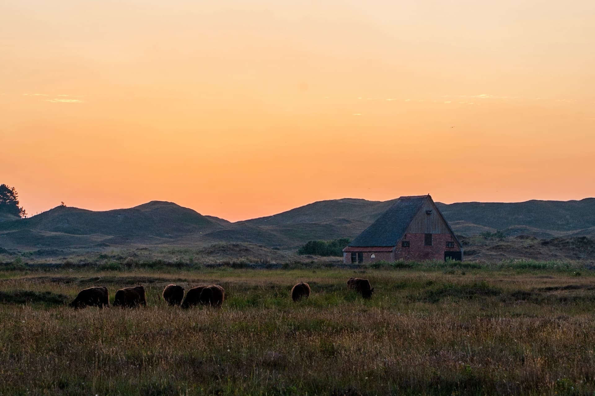 Landschaft De Muy