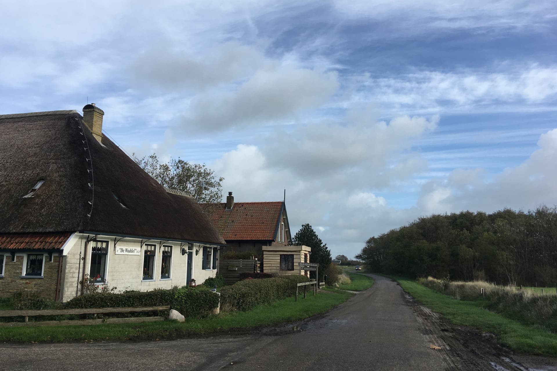 Sheep farm De Waddel