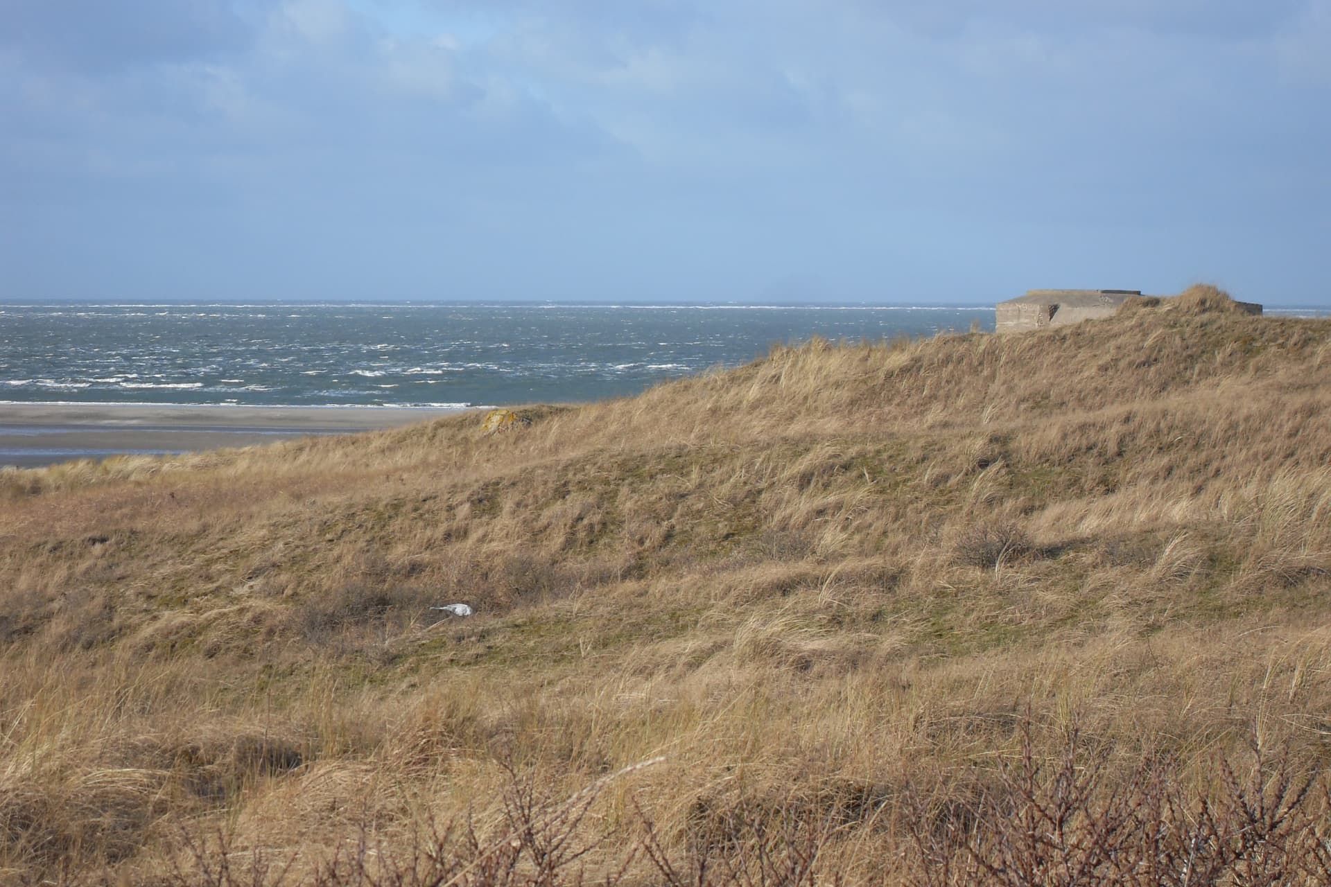 Battery Den Hoorn