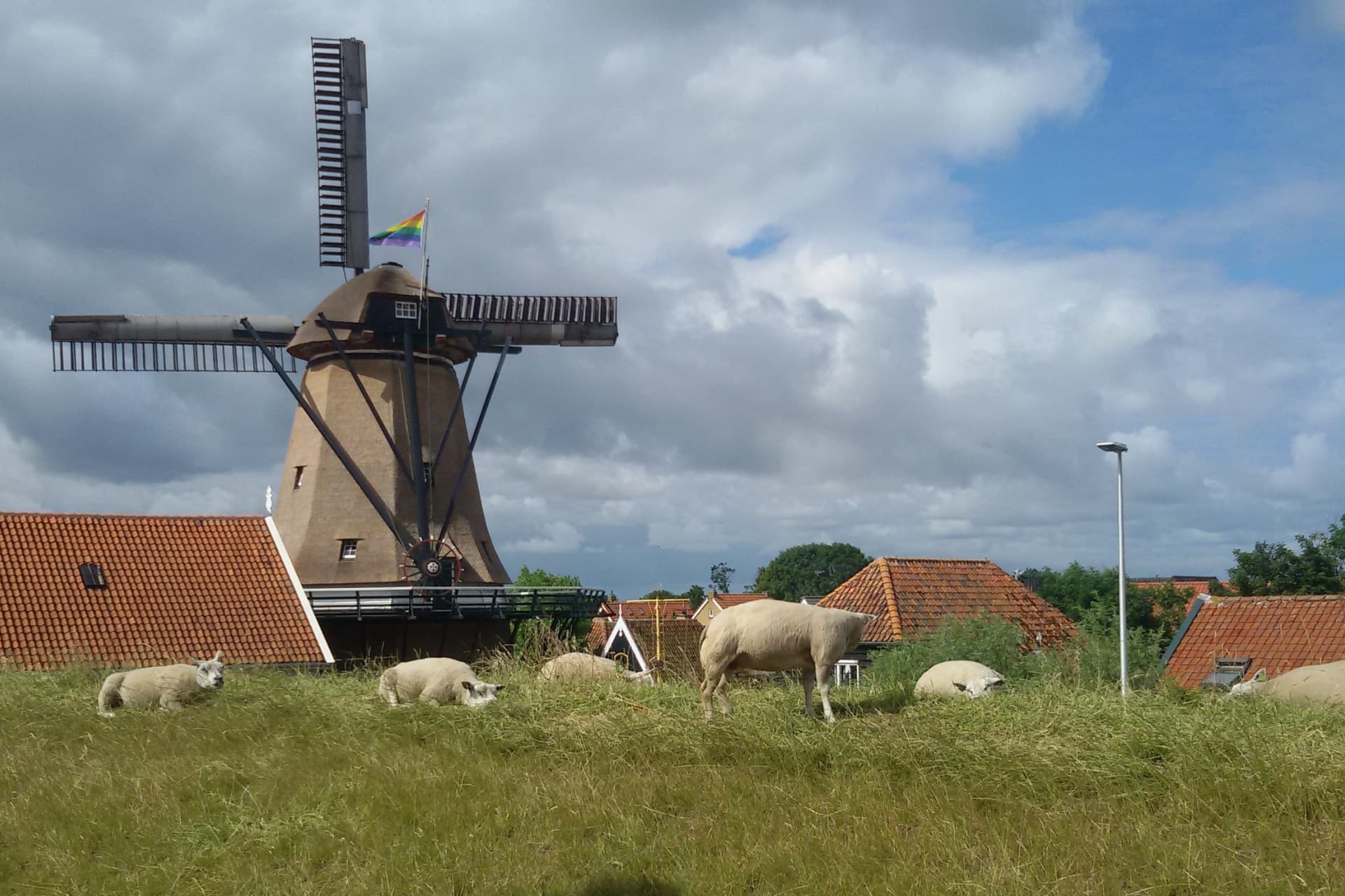 Fotoalbum Nationale Molendag