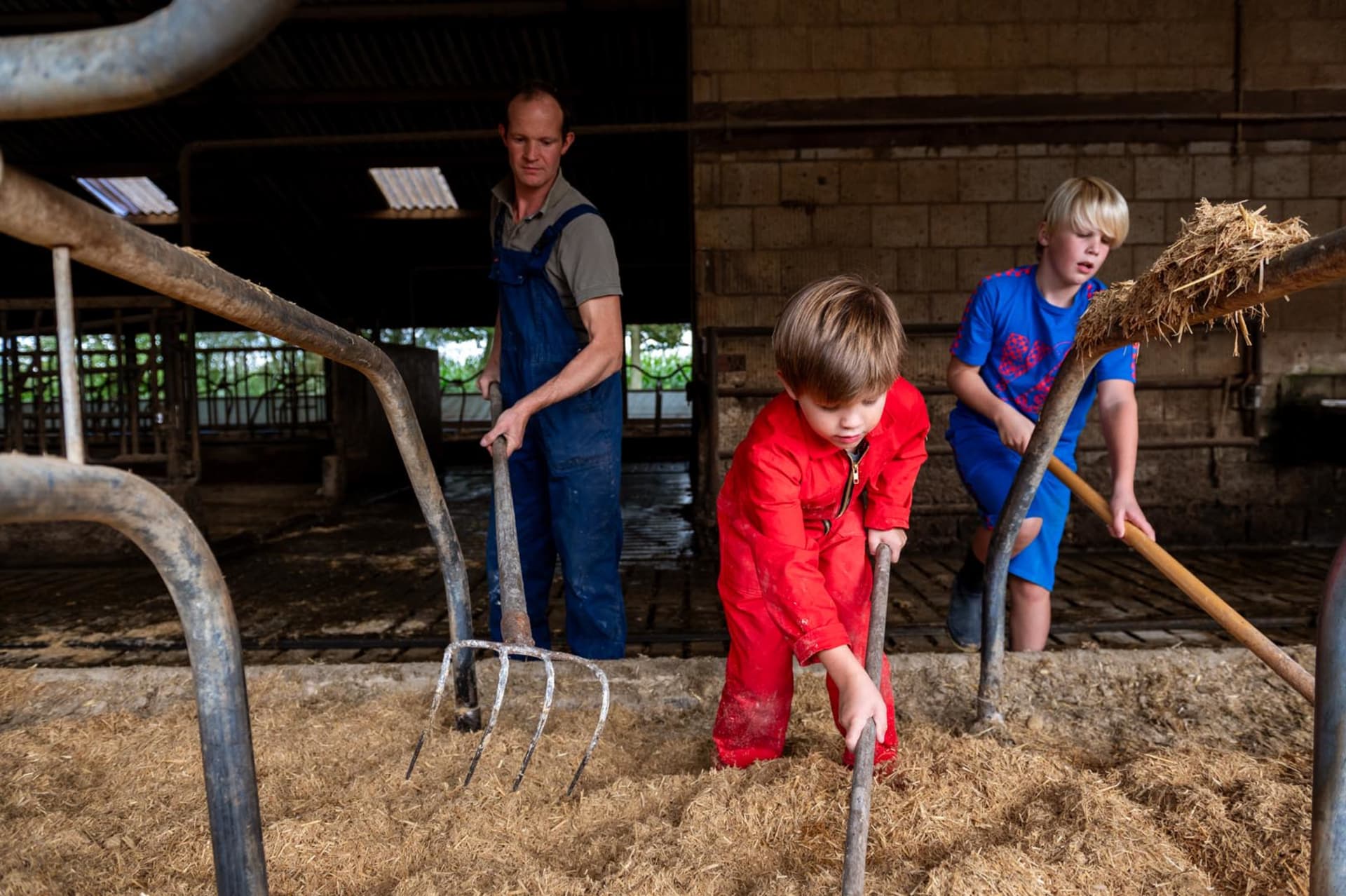 FarmCamps Kooij Hoeve Zuid-Holland boer helpen