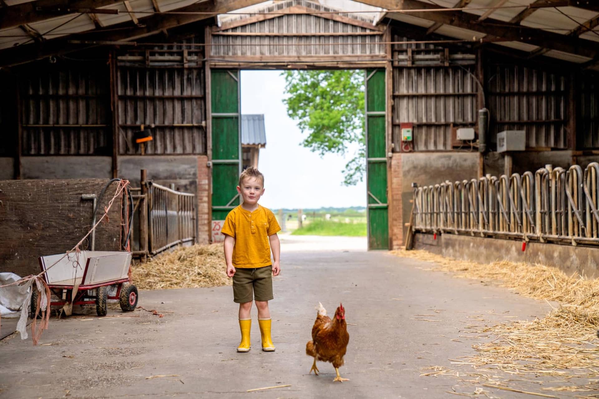 FarmCamps Geele Bosch Friesland jongen in de s
