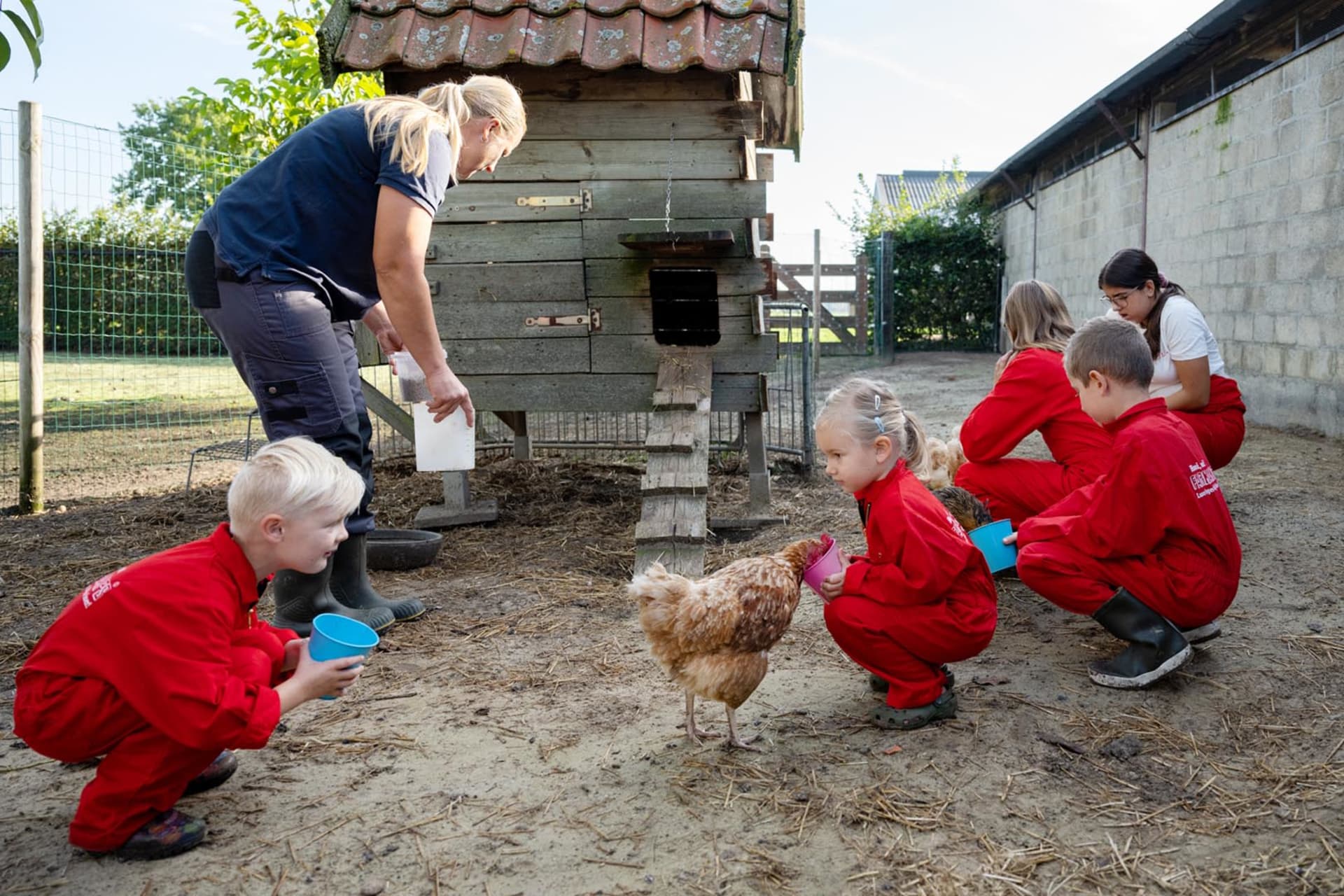 FarmCamps De Kalverliefde Limburg kinderen met