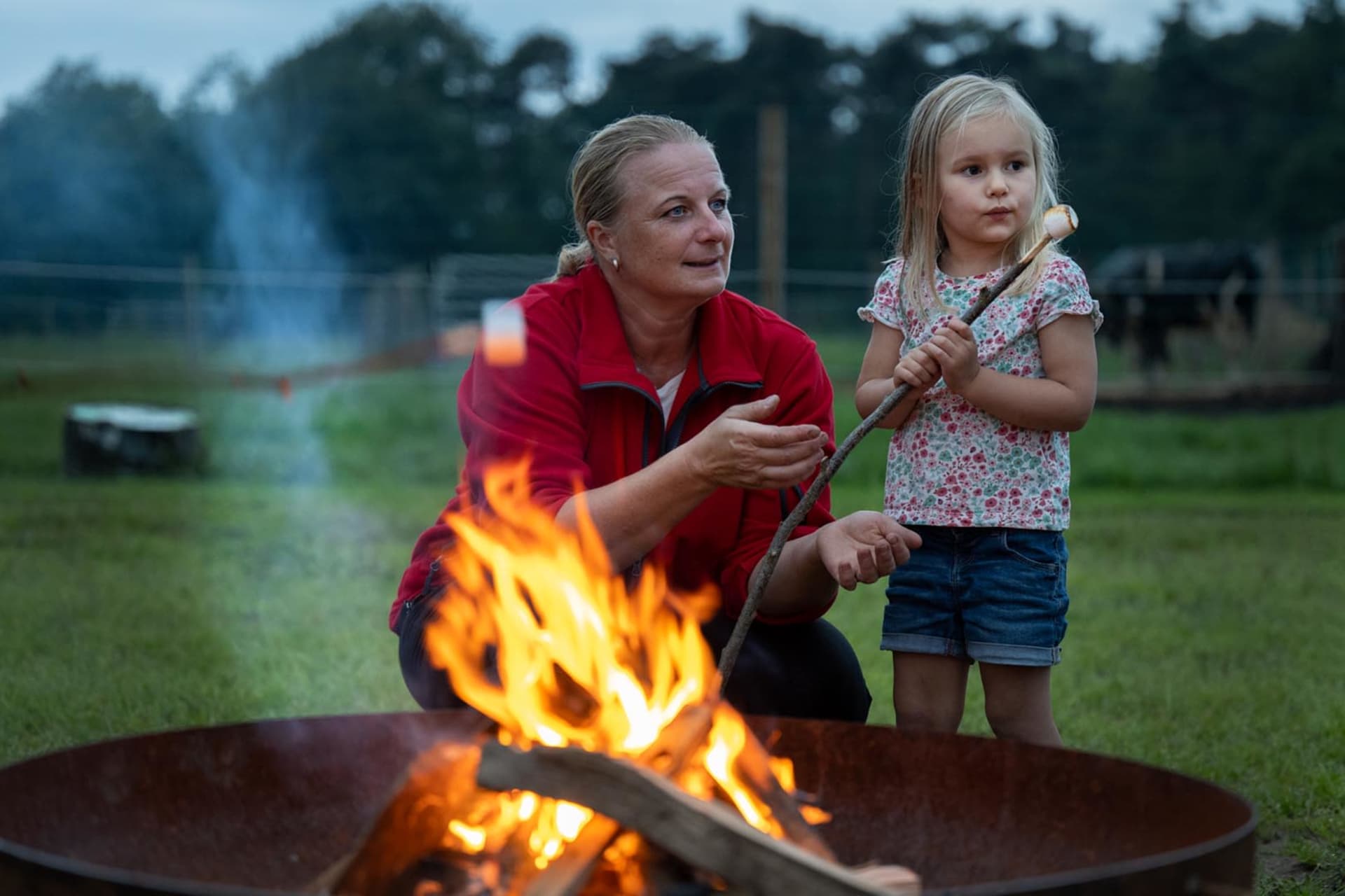 FarmCamps De Kalverliefde Limburg meisje met b