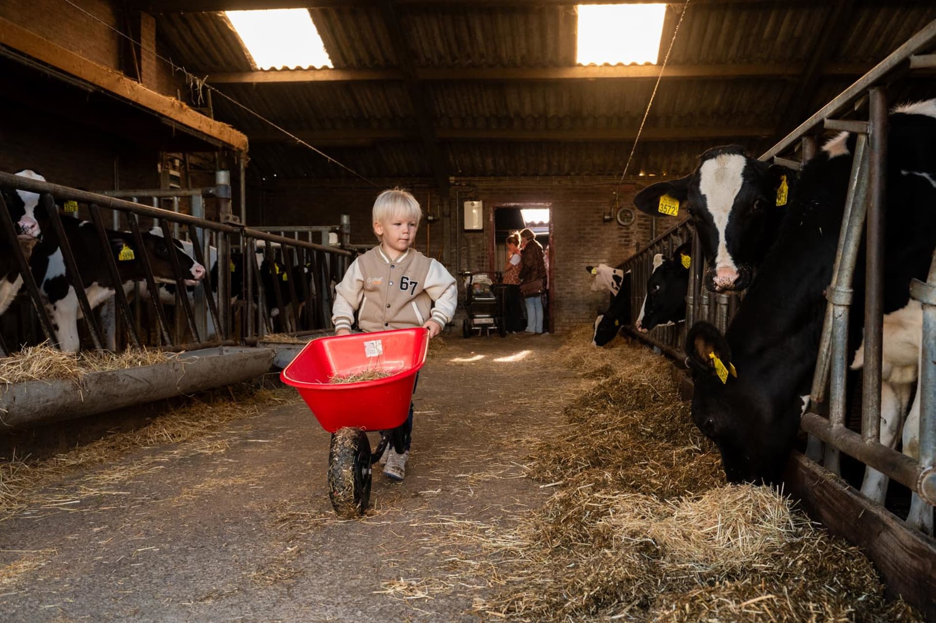 FarmCamps Kooij Hoeve Zuid-Holland voeren jong