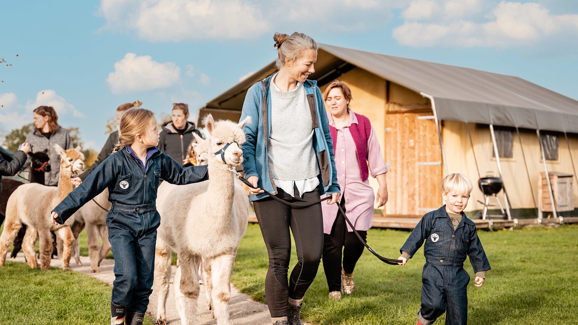 FarmCamps Alpaca Vorstenbosch Noord-Brabant wa