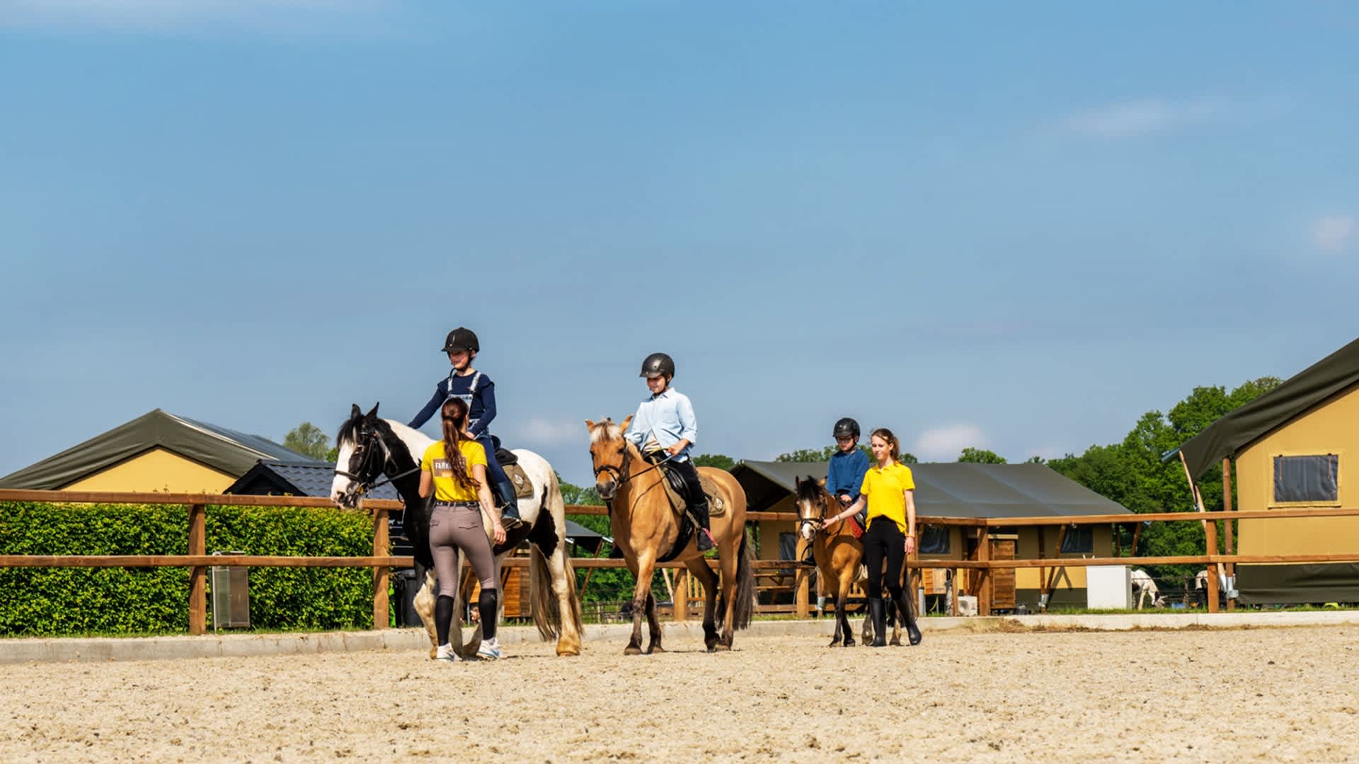 FarmCamps Holzik Stables Overijssel paardrijle