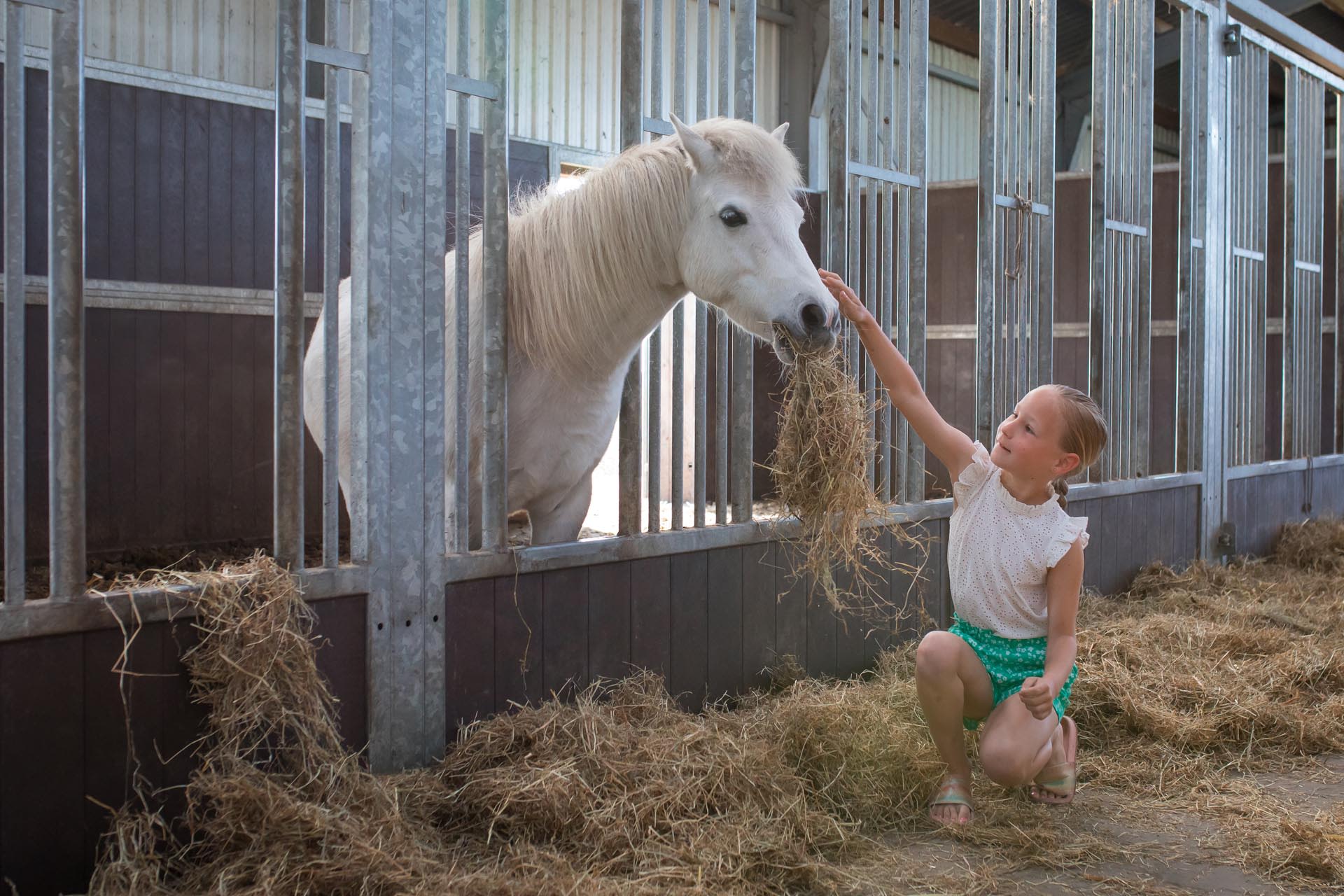 FarmCamps De Bosrand meisje voedt en aait pony