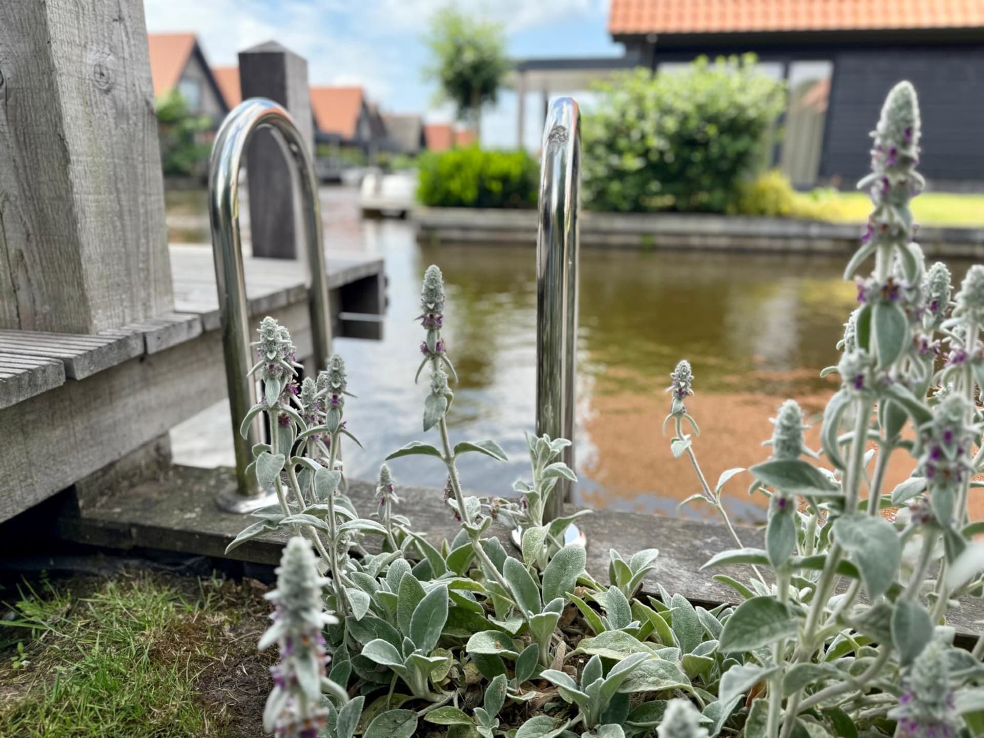 Buitenzijde achterkant 27 1