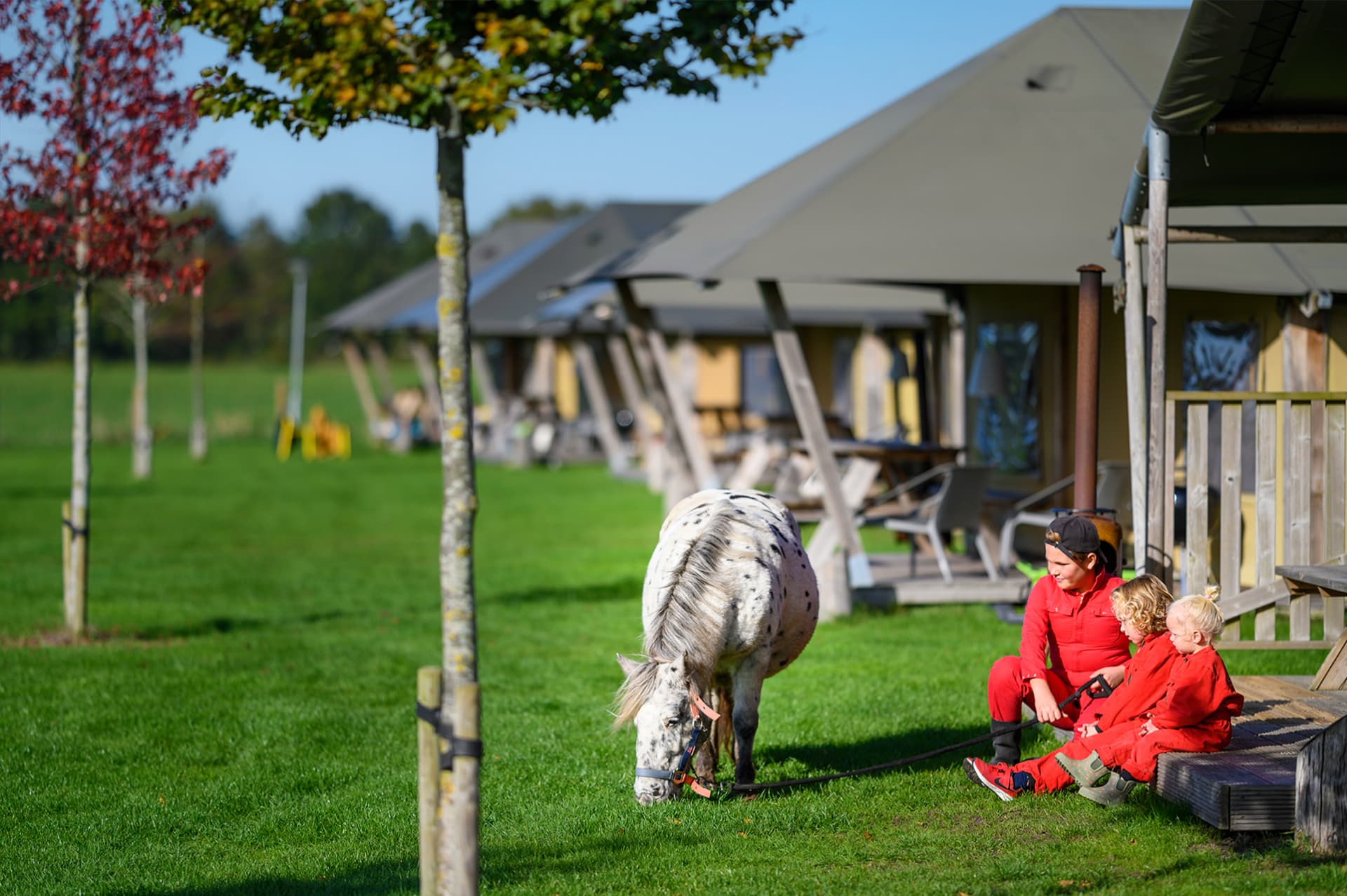 FarmCamps De Smulhoeve kinderen voor tent met pony