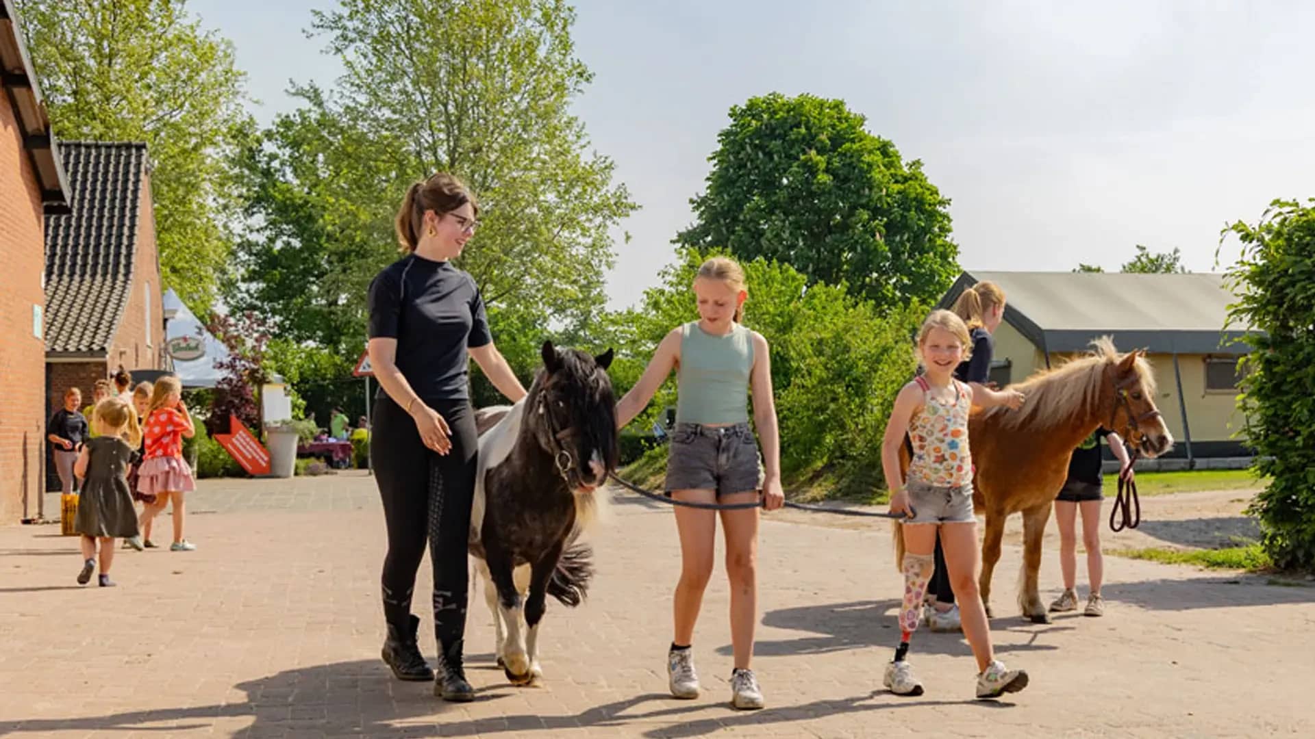 FarmCamps Breehees Brabant kinderen lopen pony erf tent