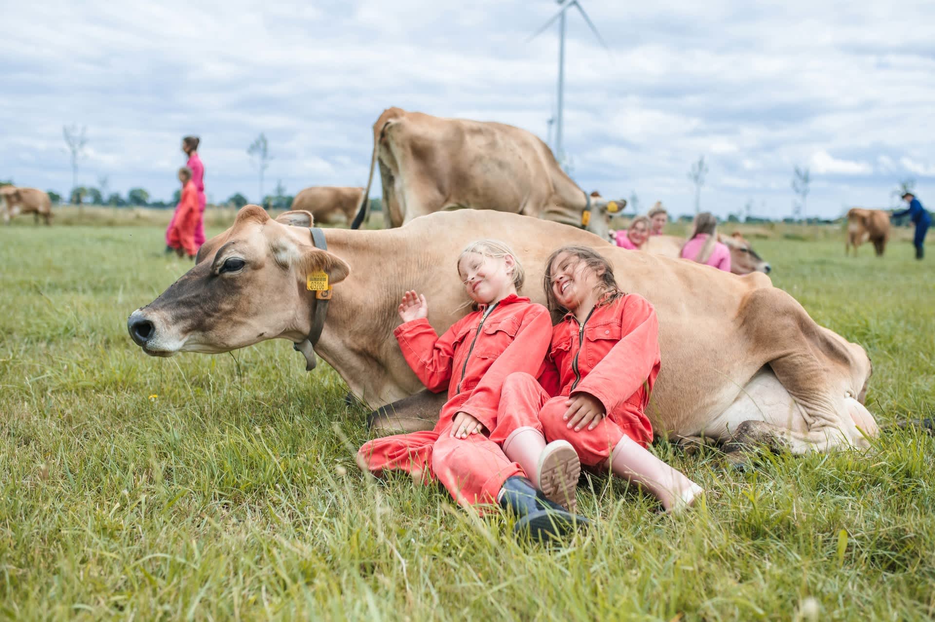 FarmCamps BoeBaDoe Limburg kinderen koeknuffelen in de wei