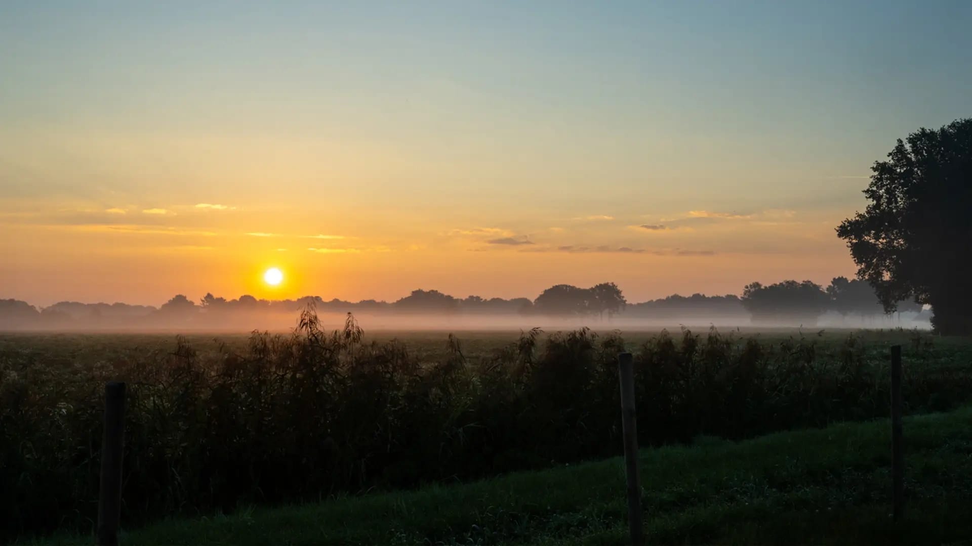 FarmCamps De Kalverliefde Limburg natuur overzicht
