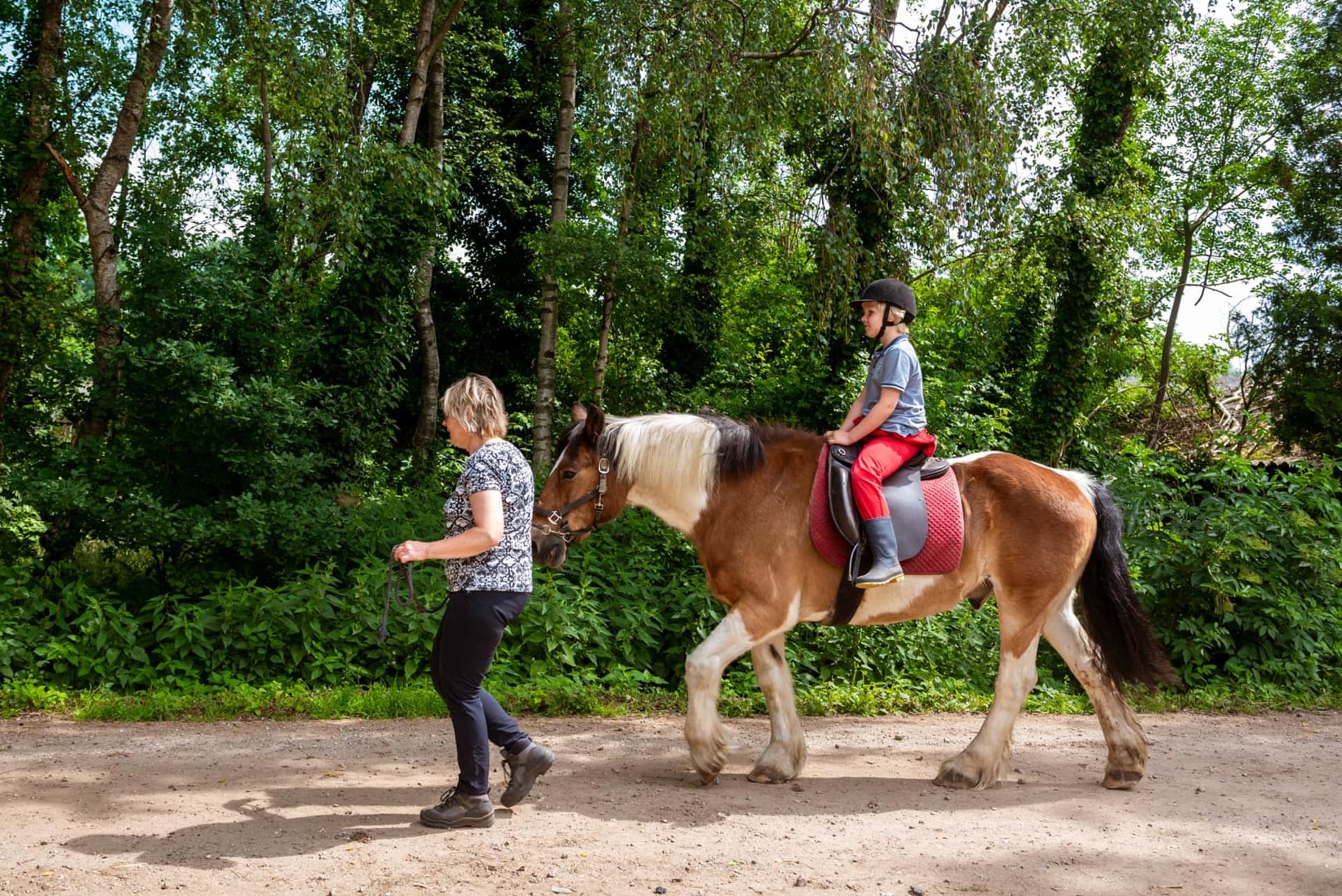 FarmCamps Den Branderhorst Gelderland rijles paard boerin jongen