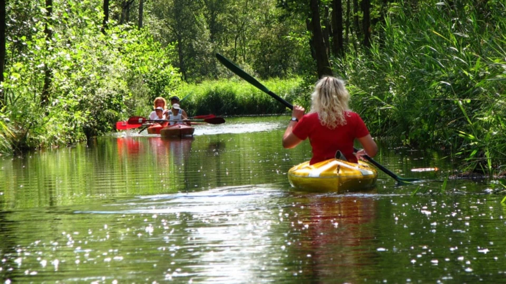 FarmCamps de. Geele Bosch Weerribben kano bos omgeving in de buurt