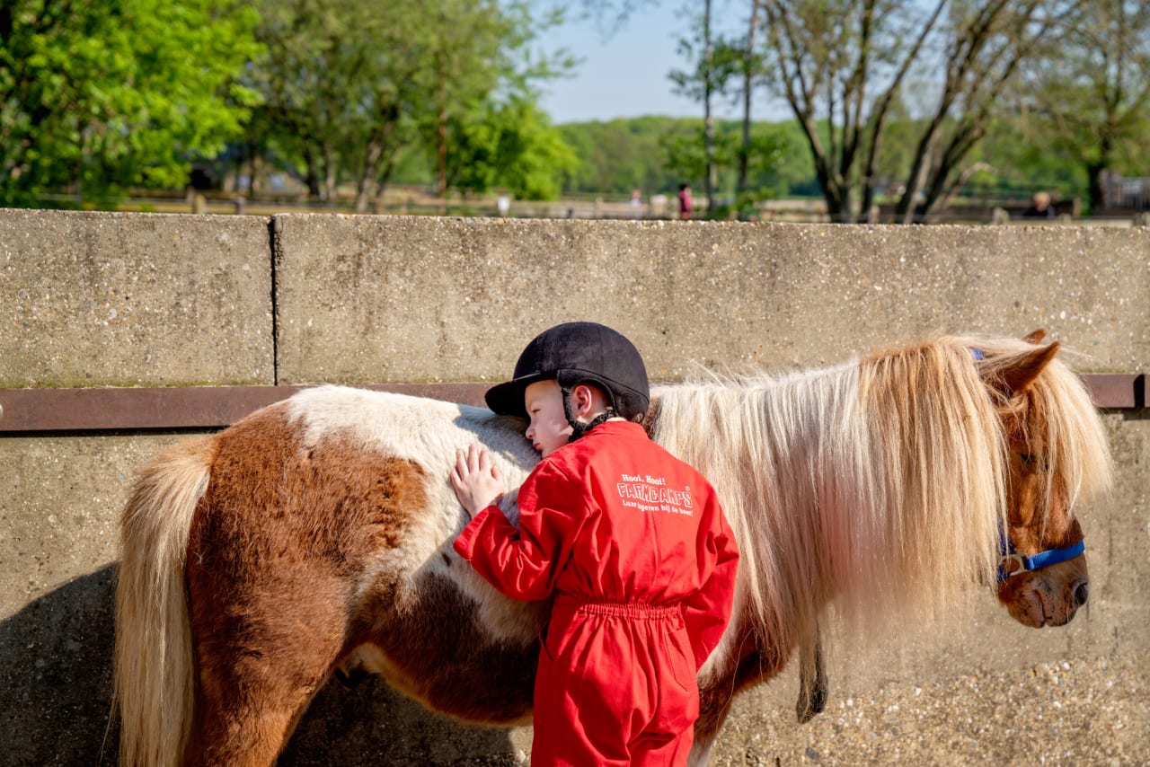Knuffelen met een pony