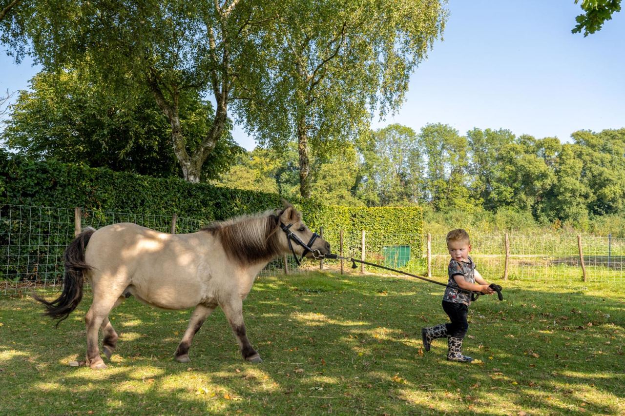 De Buitenhoeve