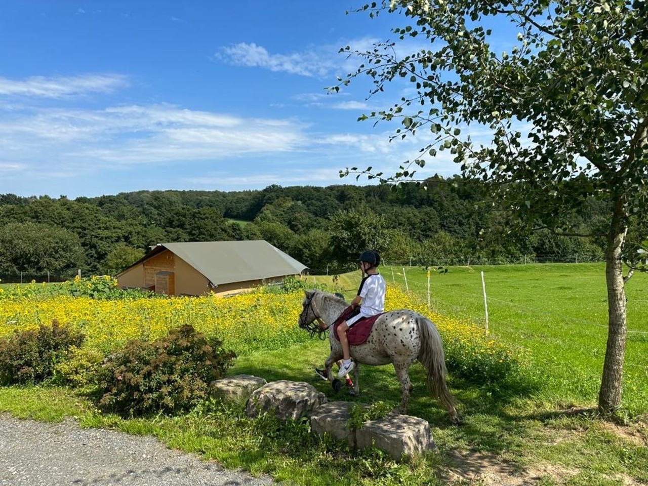 Soodehof Eins