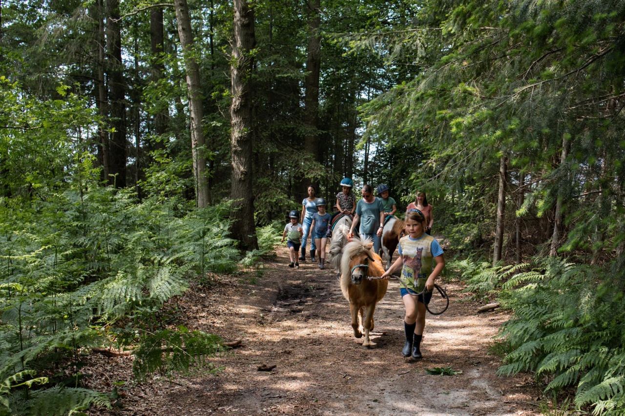 Walking pony