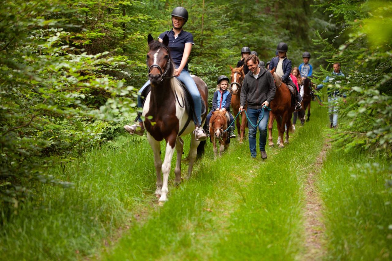 Horseback riding for adults