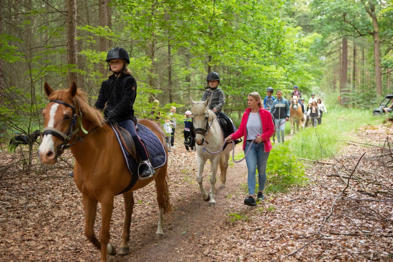 FarmCamps_De_Bosrand_Drenthe_pony_rijden_buite