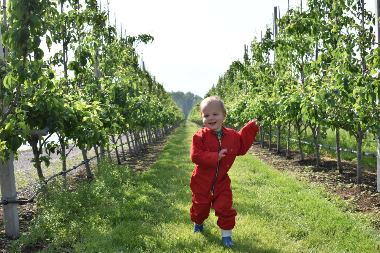 FarmCamps_De_Buitenhoeve_Gelderland_blog_gast