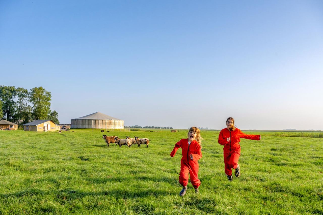 FarmCamps_de_Oostermaat_Overijssel_spelen_in_d