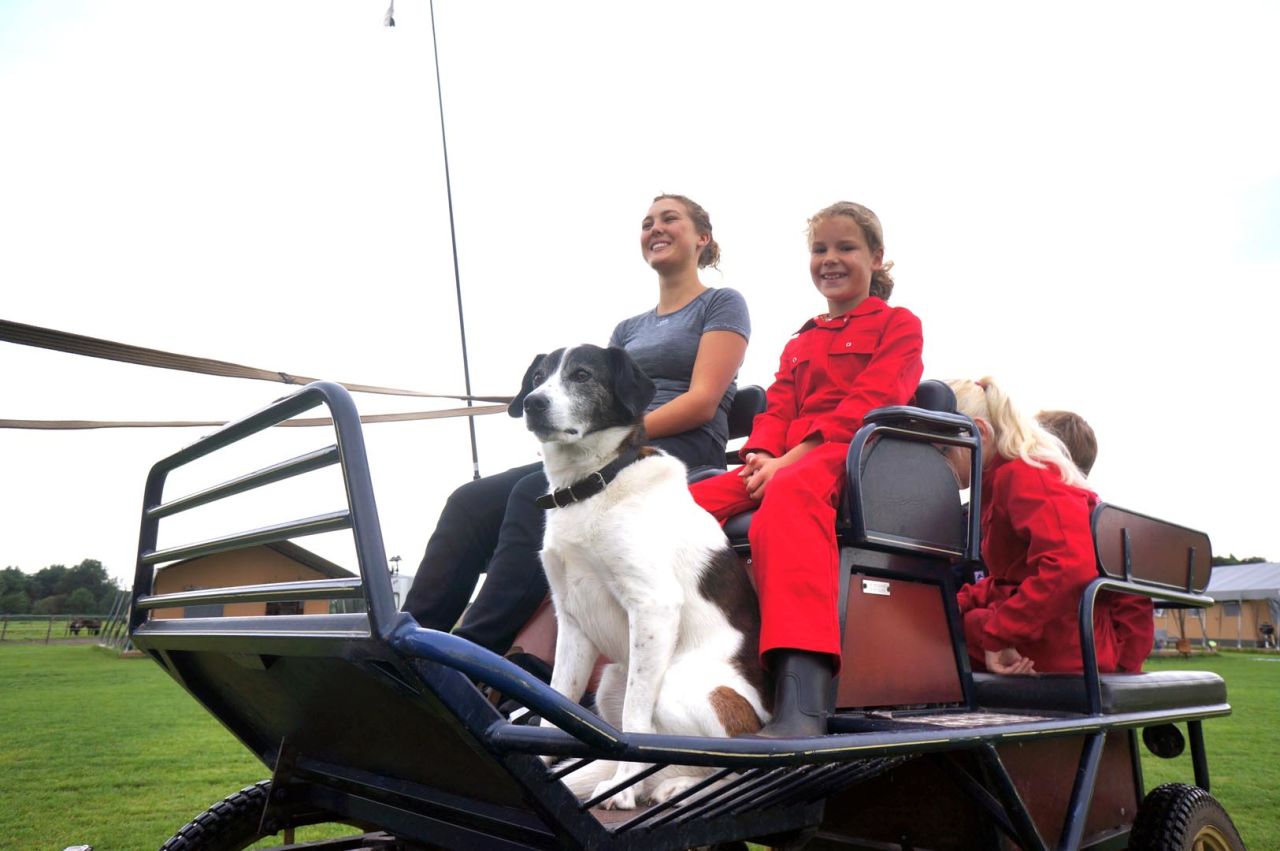 samen met de hond op pad tijdens het weekend weg bij FarmCamps