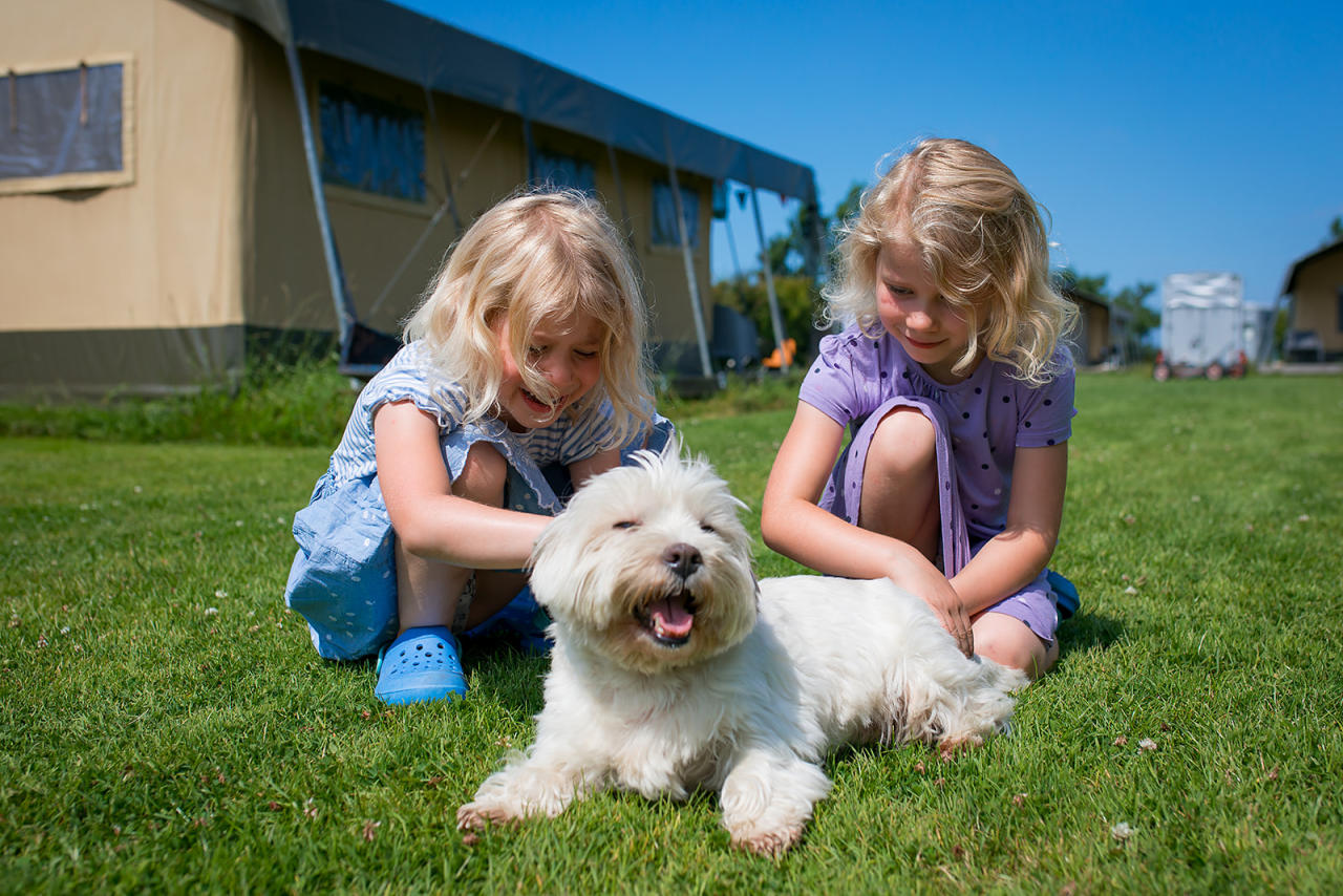 met de hond op vakantie