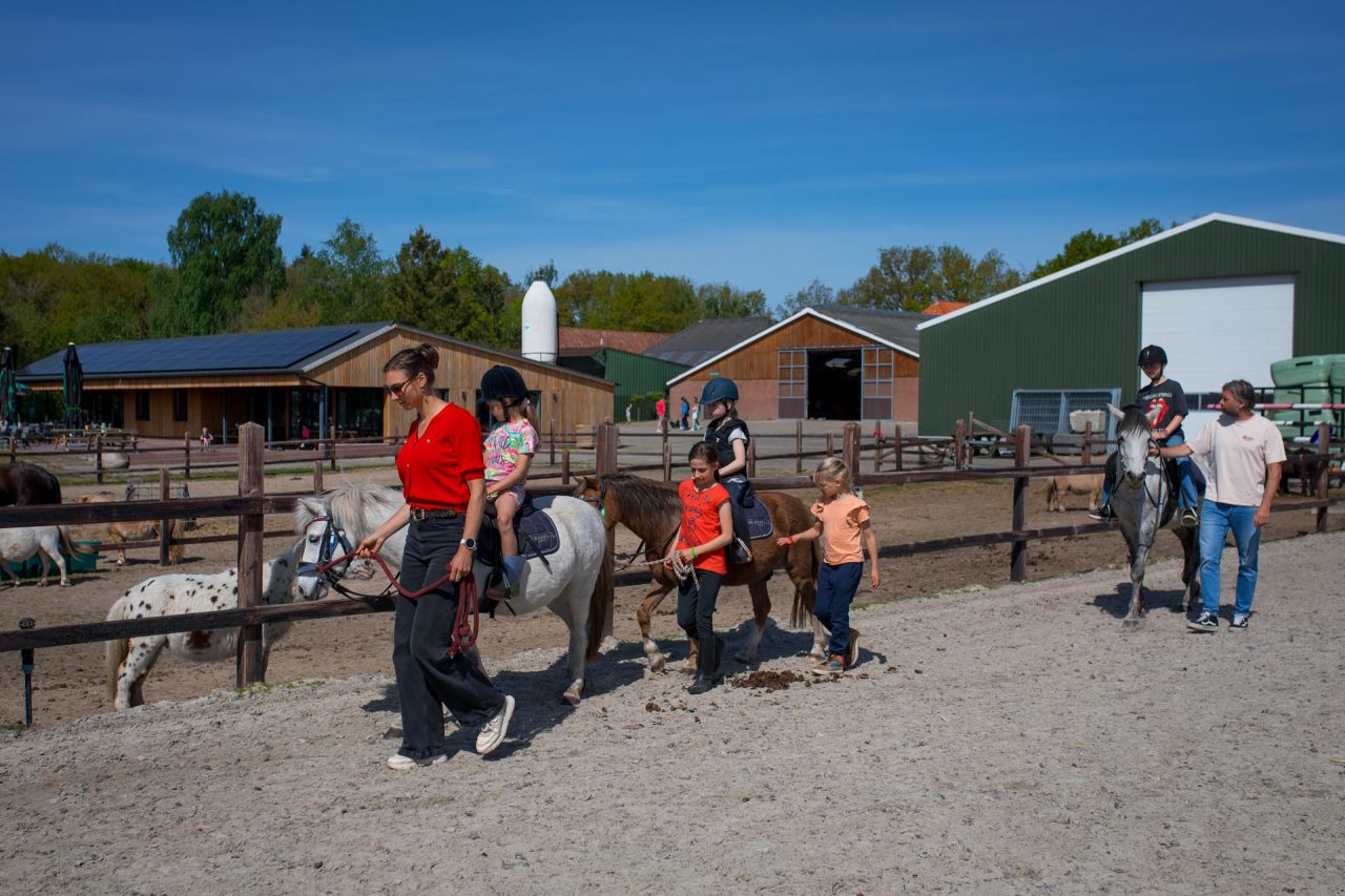 Horse-riding Holiday Without Your Own Horse