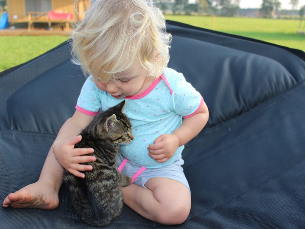 Baby knuffelt een poes op de boerderij bij FarmCamps