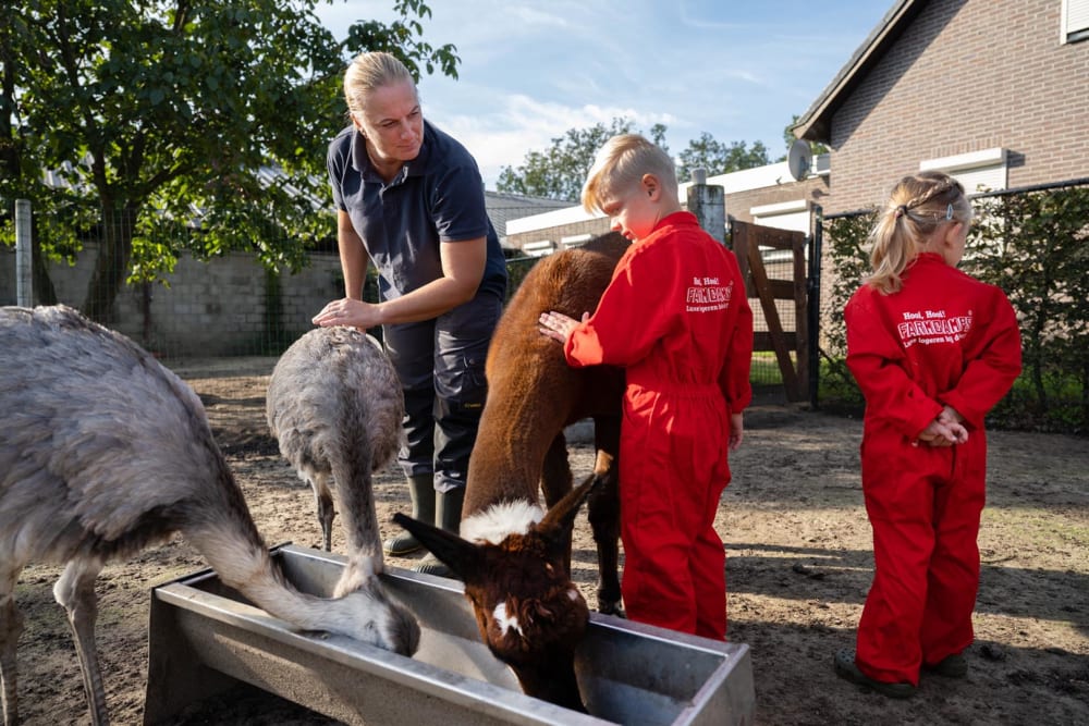 Kinderen voeren dieren tijdens een weekendje weg op de boerderij